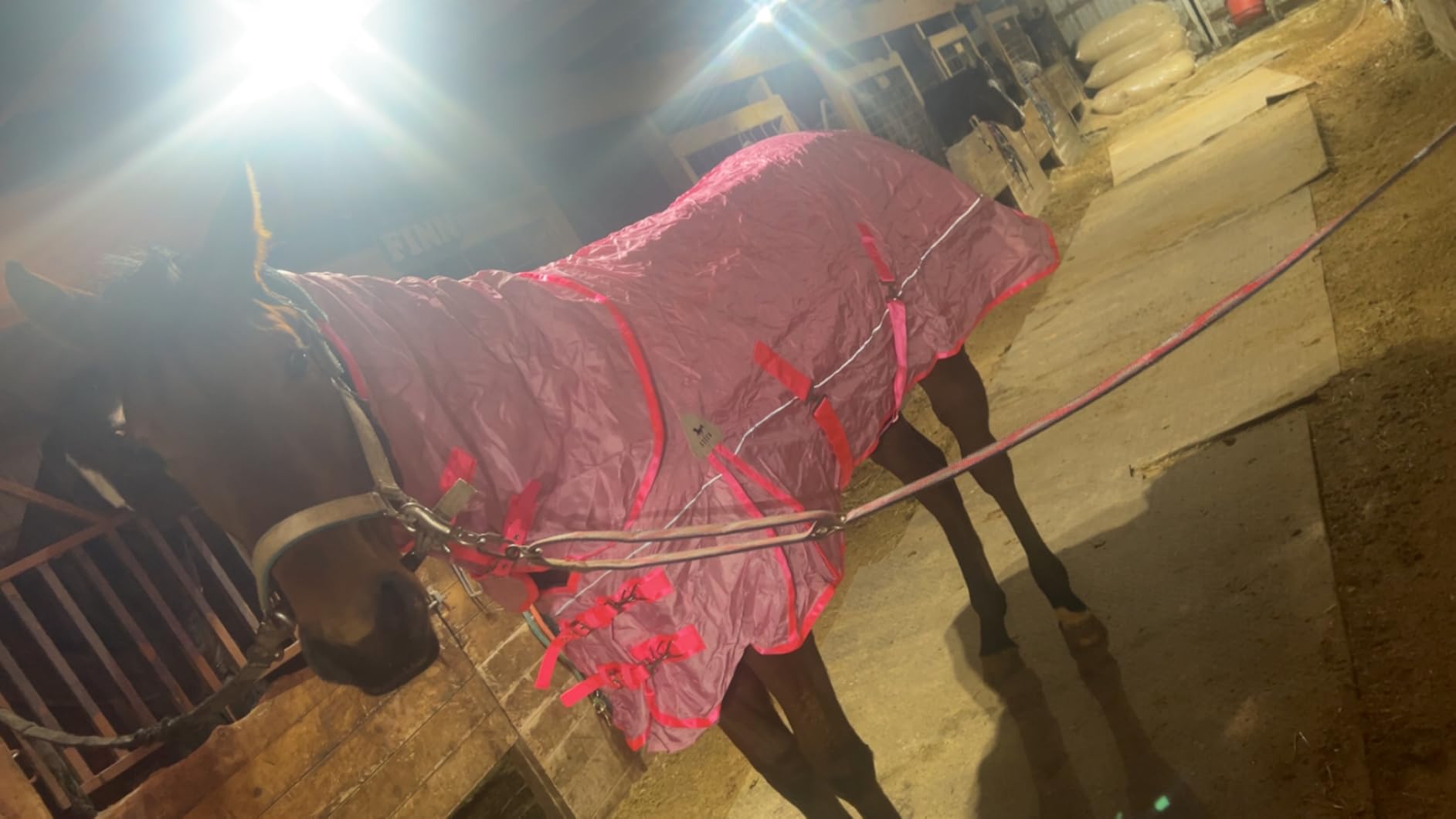 Horse Turnout Blanket,1600D Waterproof Medium Weight Winter Blanket for Horse,(220g Filling) with Detachable Neck Cover, Horse Blanket for Real Horses customer photo 2