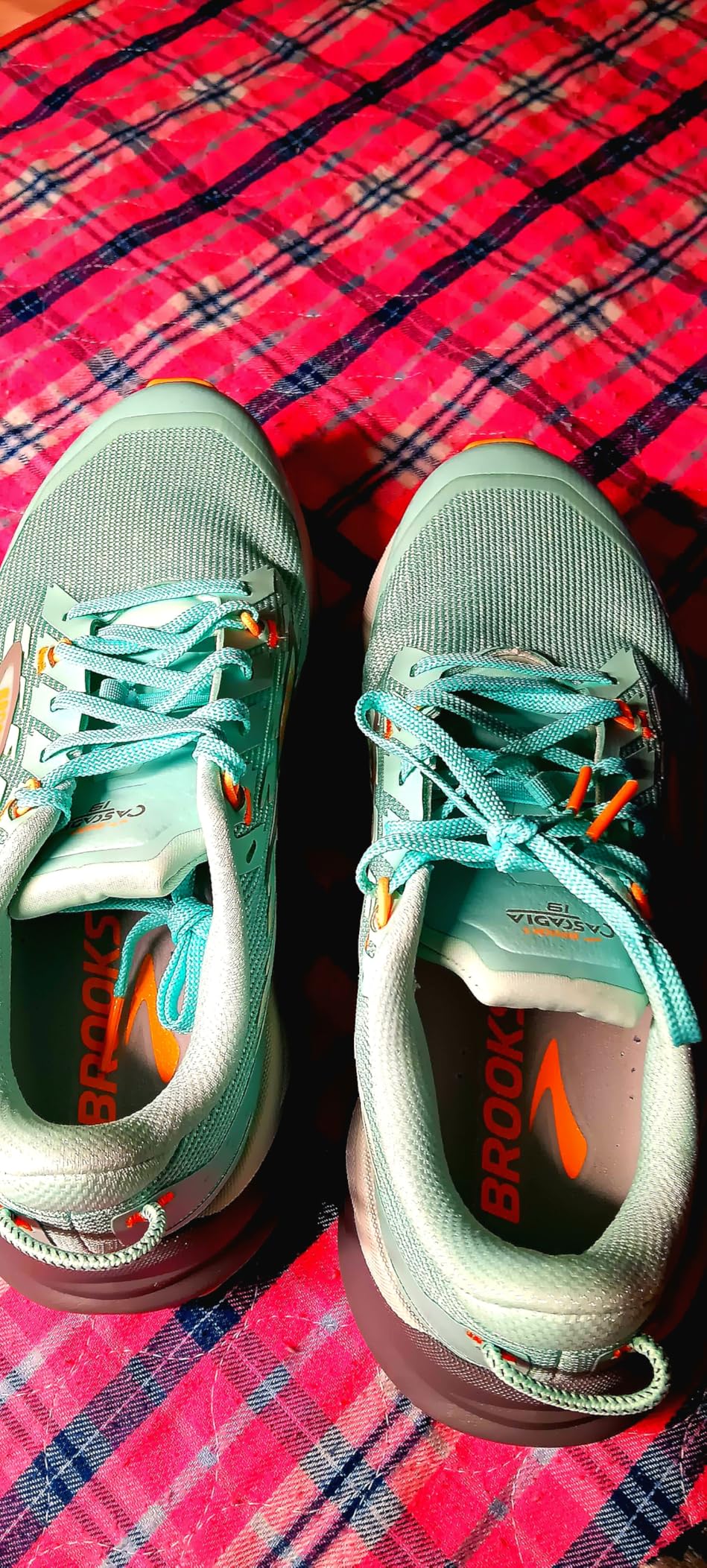 Brooks Women's Cascadia 19 Mountain Trail Running Shoe customer photo 2