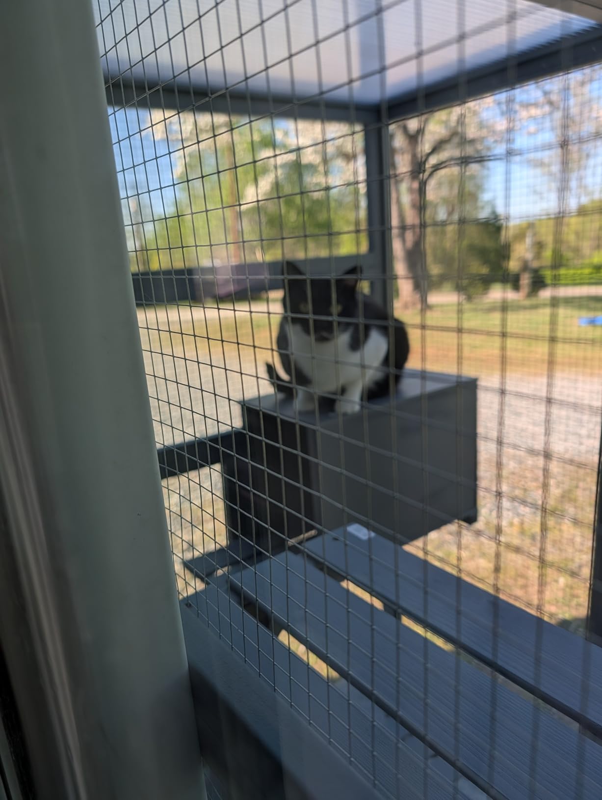 NYEEKOY 71Inches Large Wood Catio Outdoor Cat Enclosure with Perches and Condos, Cat House Indoor with Waterproof Roof, Cat Shelter 5 Platforms & 2 Resting Box, UV Resistant (Grey) customer photo 2