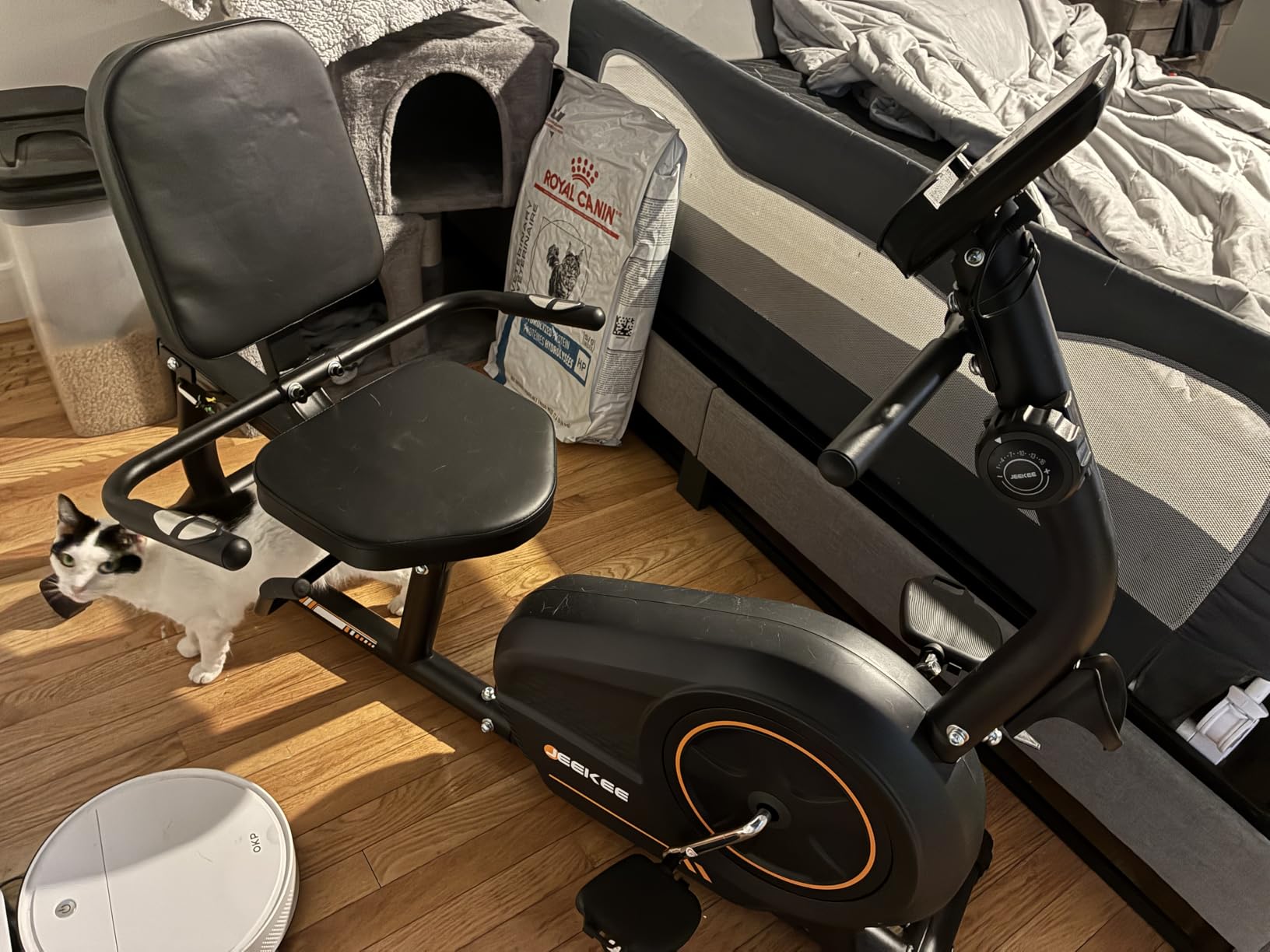 JEEKEE Recumbent Exercise Bike for Seniors, Stationary Bikes for Home, 400LB Capacity & 16 Levels Magnetic Resistance, Heart Rate Handle customer photo 2