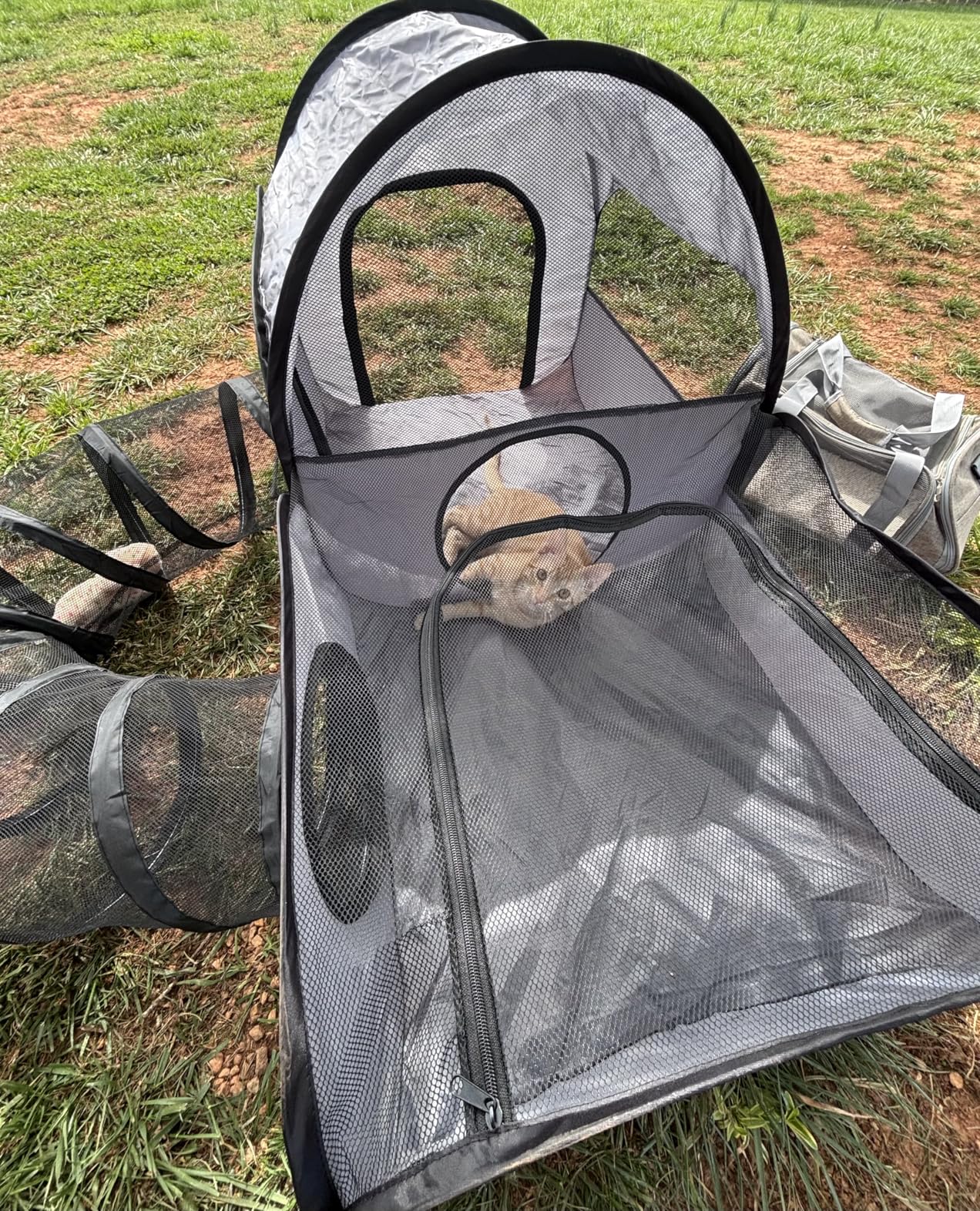 Portable Cat Playpen with Surround Tunnel, 2-Linked-Enclosed Areas, Ideal Cat Tent Outdoor or Cat Playpen for Indoor Cats Enclosed. Breathable Mesh Design for Indoor & Outdoor Use(Grey) customer photo 2
