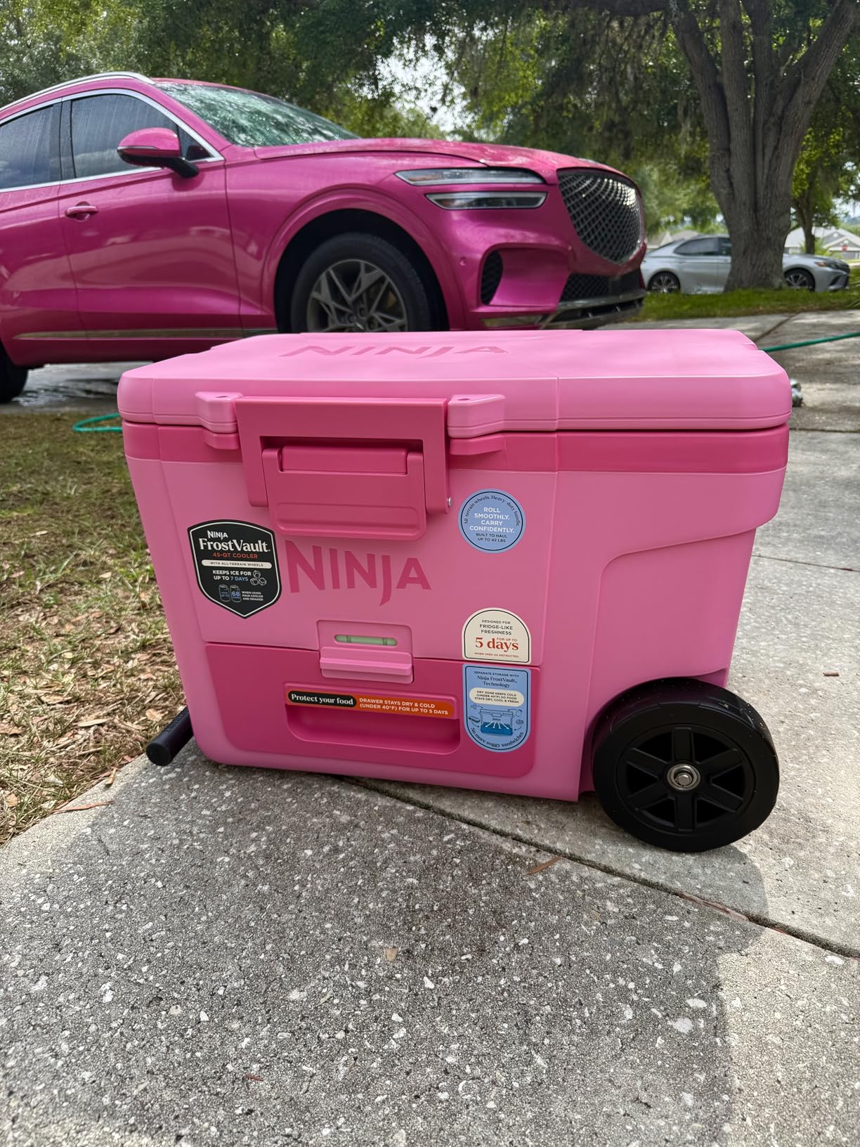 Ninja FrostVault 65QT Insulated with Temp Dry Storage Drawer Keeps Ice Cold for Days for the Beach Camping Picnics and More Lakeshore Blue FB265BL customer photo 1