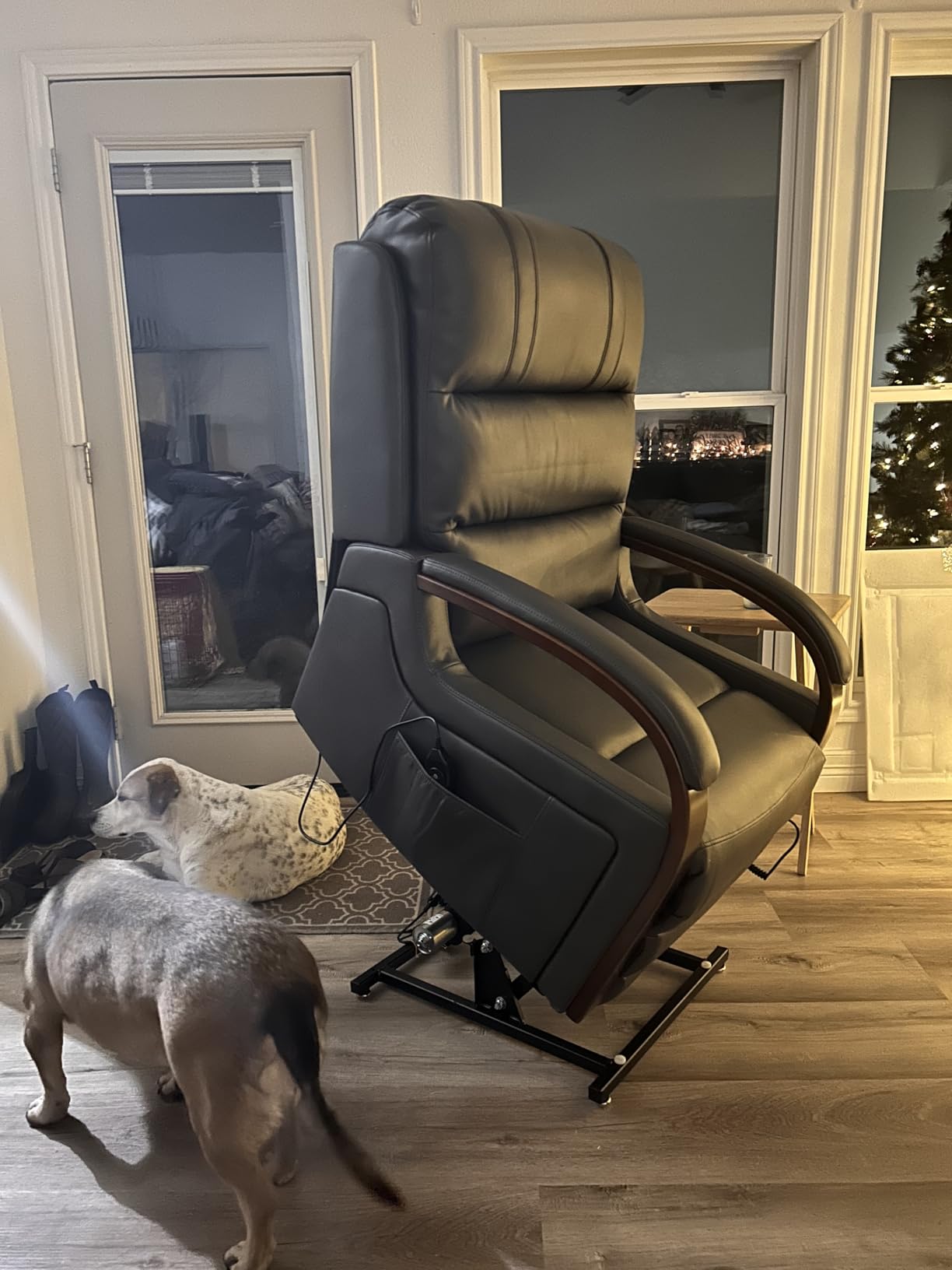 Trustyue Dual Motor Power Lift Recliner Chair, Lift Chair with Massage and Heat for Elderly, Lay Flat Recliner, Standing Assistance, Infinite Position Reclining customer photo 1