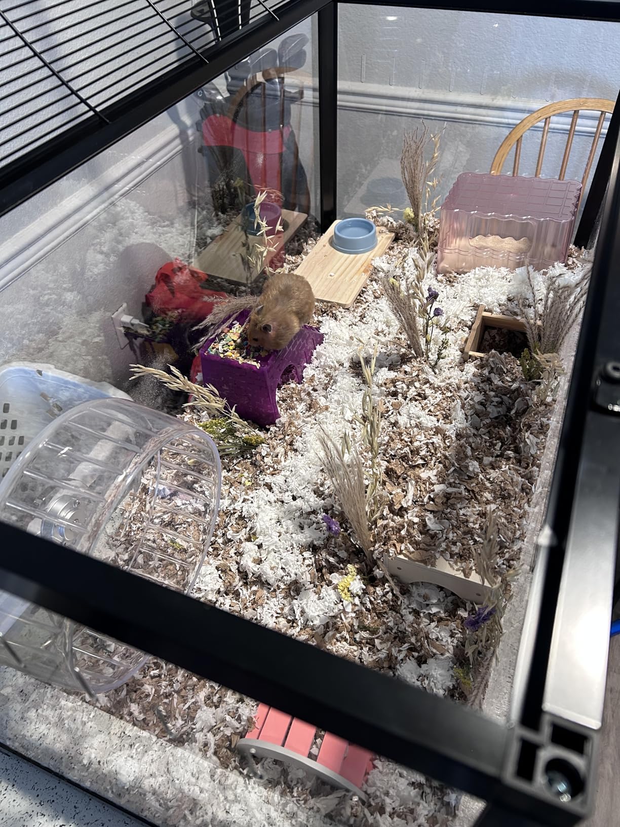 VEVOR Hamster Cage, 360° Viewing Transparent Hamster Habitats, Small Animal Cage, 22.8 x 15 x 21.3 in, Ventilated Pet Mouse Cages with Water Bottle, Portable Hamster House for Rats, Guinea Pigs customer photo 2