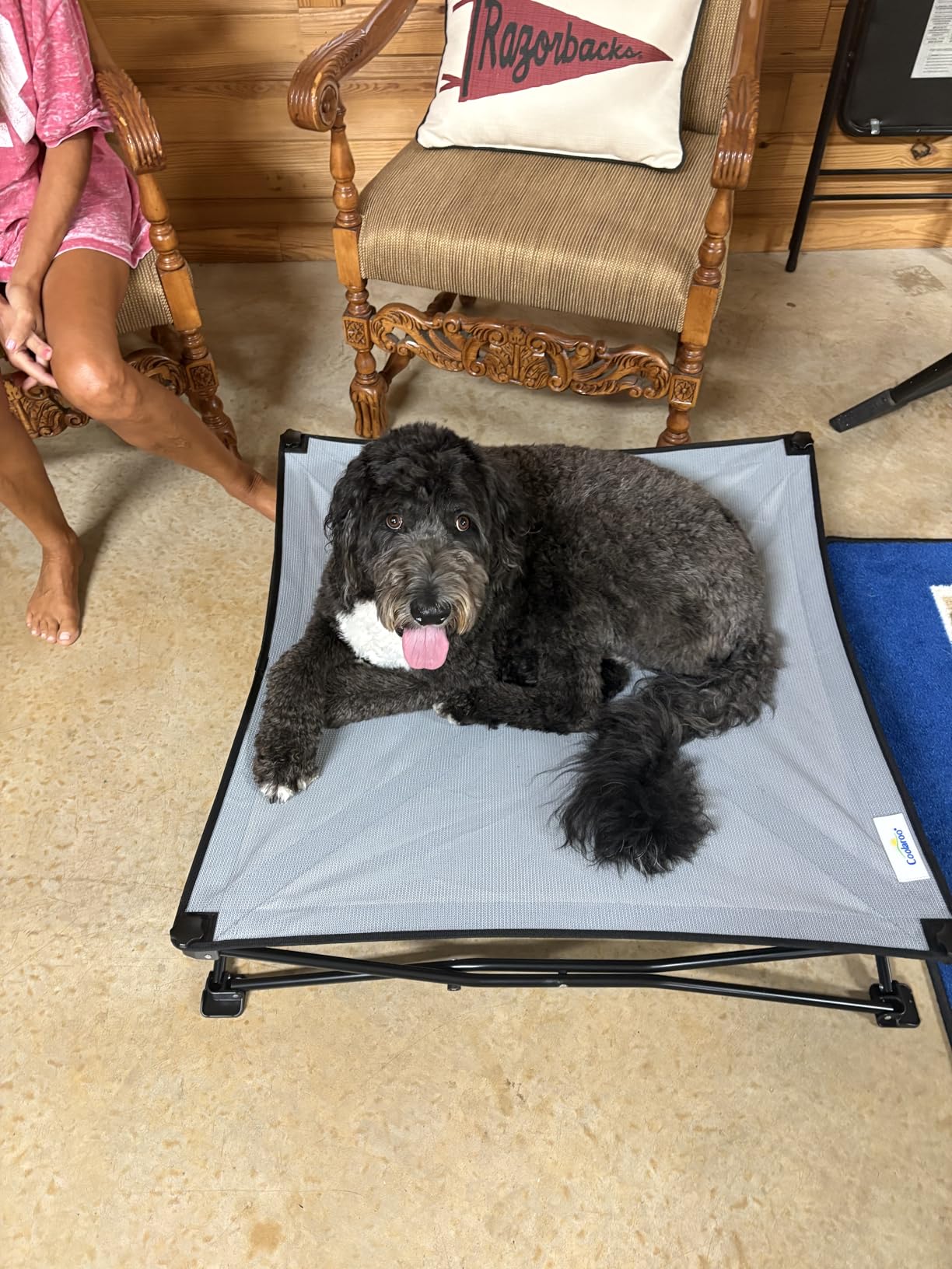 Coolaroo On-The-Go Elevated Dog Bed Kit - Portable & Cooling Travel Cot with HeatShield Fabric for Large Dogs, Lightweight & Compact, Includes Matching Carry Bag & Pacific Blue Bonus Cover, Large customer photo 2