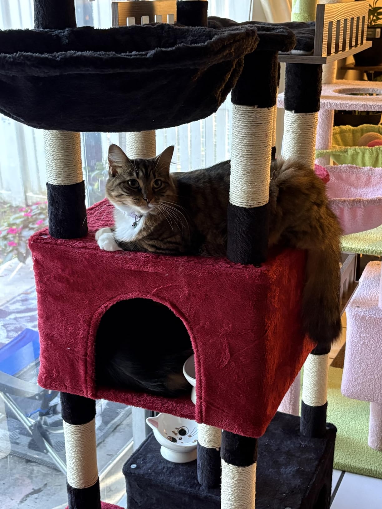 Gitelsnour Maine Coon Cat Tree, Heavy Duty Cat Tree for Indoor Cats Large Adult, Cat Tower for Large Cats 20 lbs+ with Hammock, 2 Big Perches, 2 Cat Condos, 15 Scratching Posts, Smoky Gray GCT033G customer photo 2