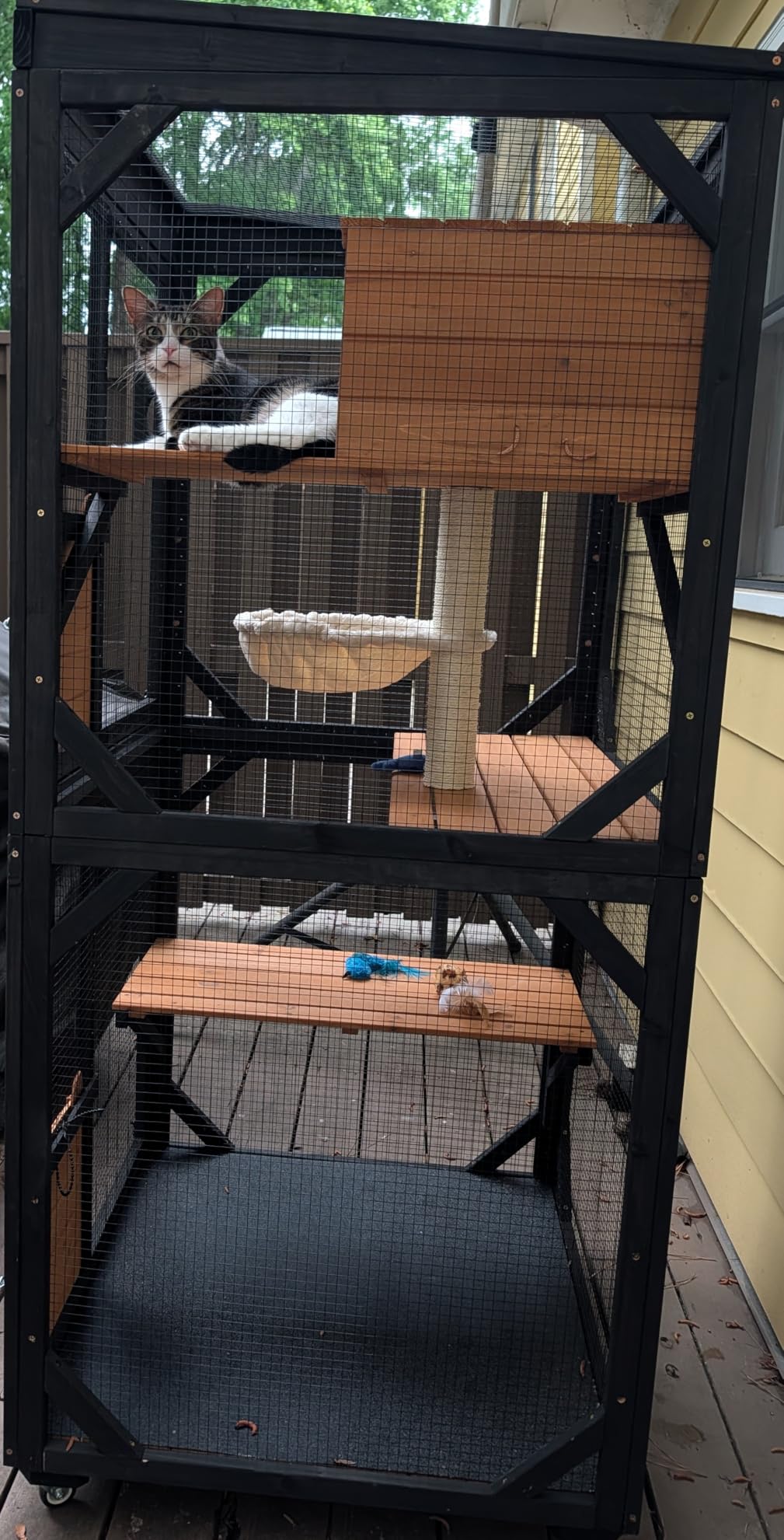 Aivituvin Outdoor Catio Cat Enclosures on Wheels Cat House 70.9