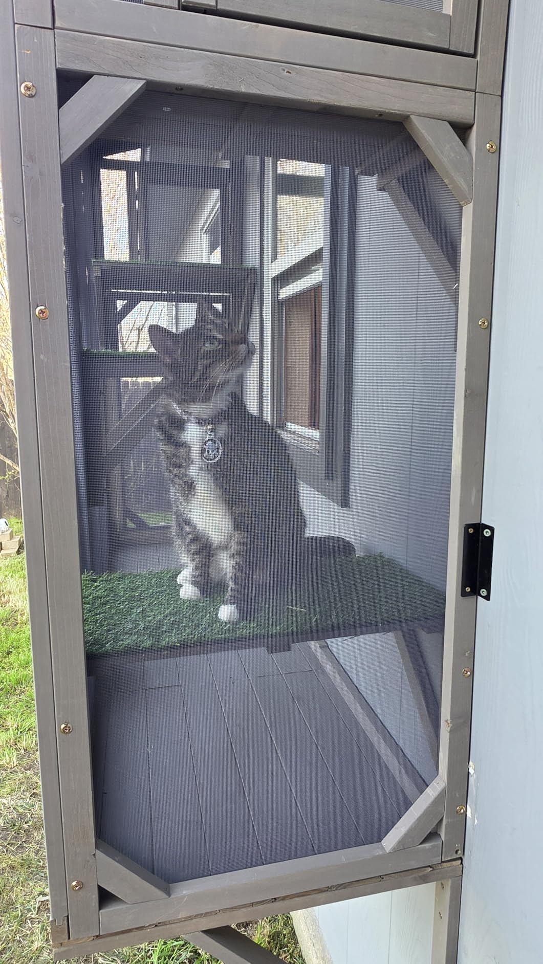 Ketive Cat Catio, Expandable Window Box Enclosure for Multiple Indoor Cats, Comfortable Wooden Small Pet Perch House, All-Weather Use, Keep Bugs Insects Out, with 4 Platforms and 3 Doors customer photo 2