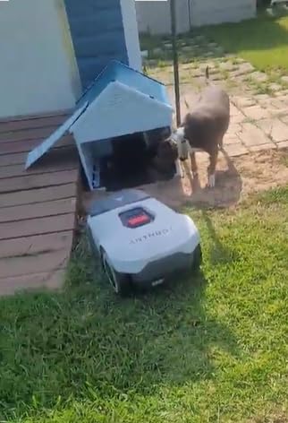 ANTHBOT Genie600 Robot Lawn Mower - NO Wire, Full Band RTK+4-Eye Vision Robotic Lawnmower for 1/4 Acre, Auto Mapping, Multi-Zone Management, Accurate Obstacle Avoidance, Intelligent Path Planning customer photo 2