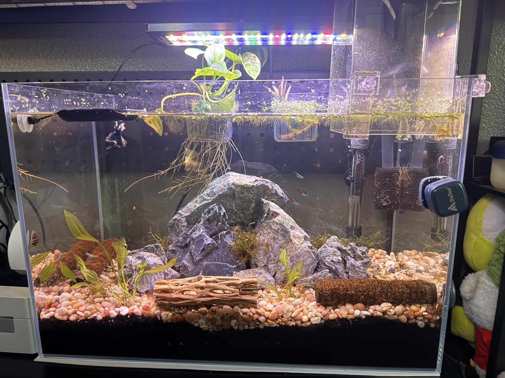 Allcolor Ultra Clear Rimless Aquarium Tank gallons Low Iron Glass Side Filtration + Anti-Jumping net (40Gal) customer photo 2