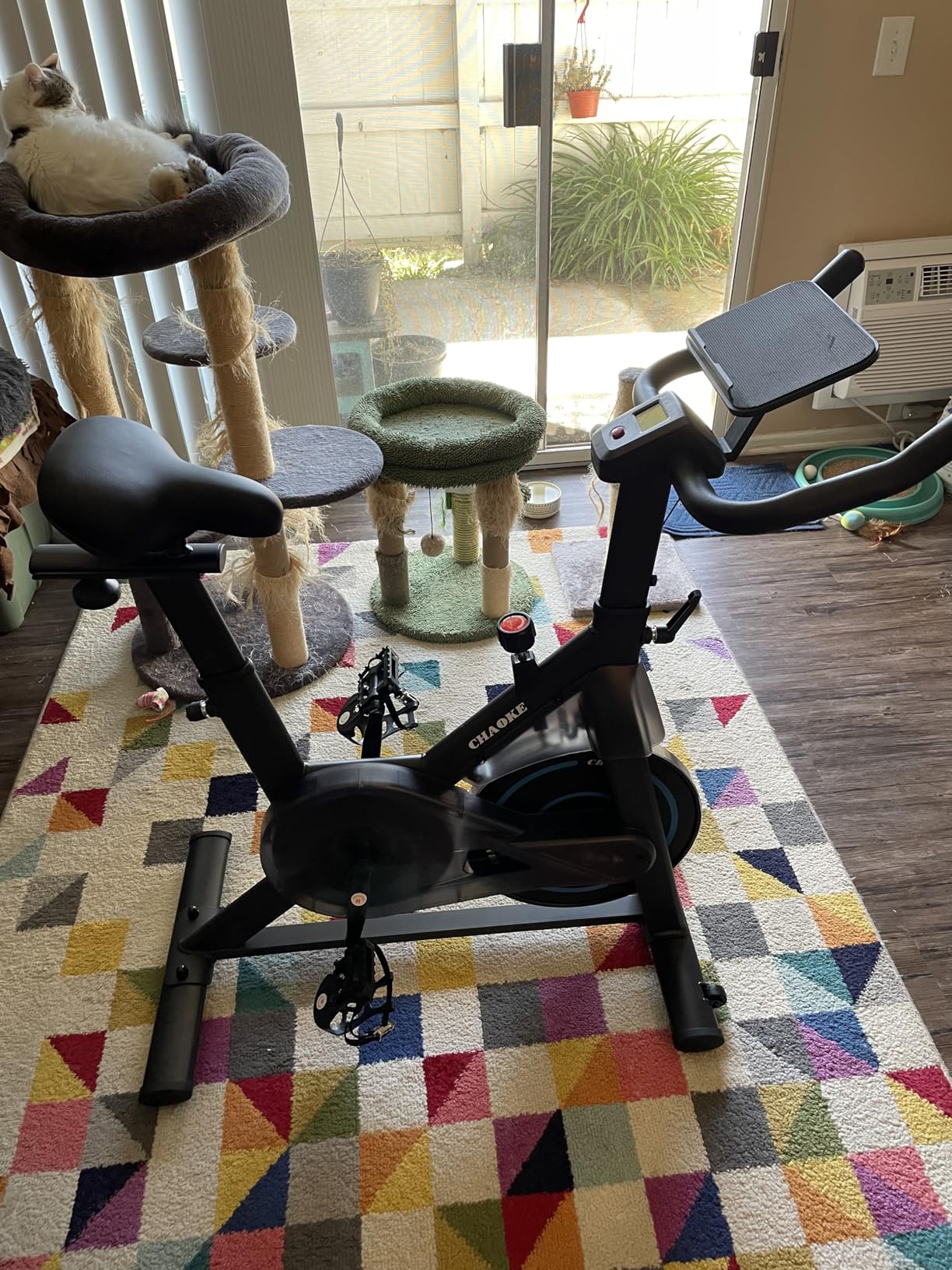 CHAOKE Exercise Bike, Quiet Adjustable Magnetic Resistance Stationary Bike for Home Cardio with App Compatible, 350LB Weight Capacity Indoor Cycling Bike with Comfortable Seat & Digital Display customer photo 1