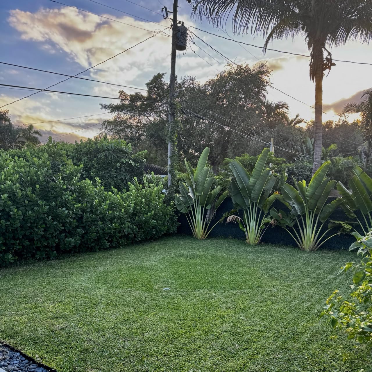 Mammotion LUBA mini AWD 800H Robot Lawn Mower, for 0.2 Acres, All-Wheel-Drive for 80% Slope, No Wire, No RTK Installation, Free NetRTK+AI Vision Positioning, Cutting Height 2.2-4.0 Inches customer photo 2