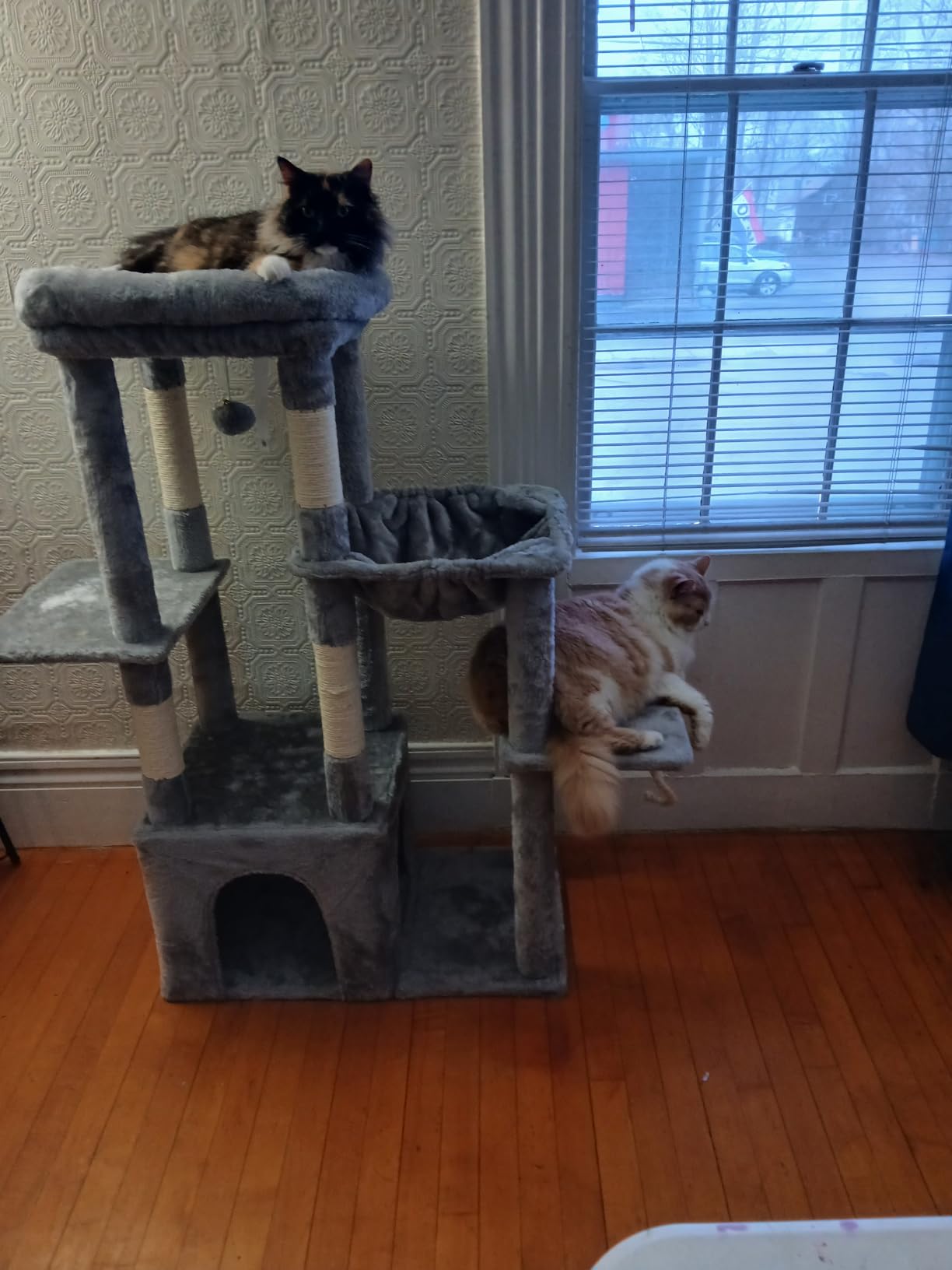 Heybly Heavy Duty Cat Tree, Tower for Indoor Cats Large Adult, Tall Cat Condo House with Extra-Large Baseboard, Multi-Level Plush Furniture with Scratching Posts, Hammock, Toy Balls, Light Gray HCT026W customer photo 1