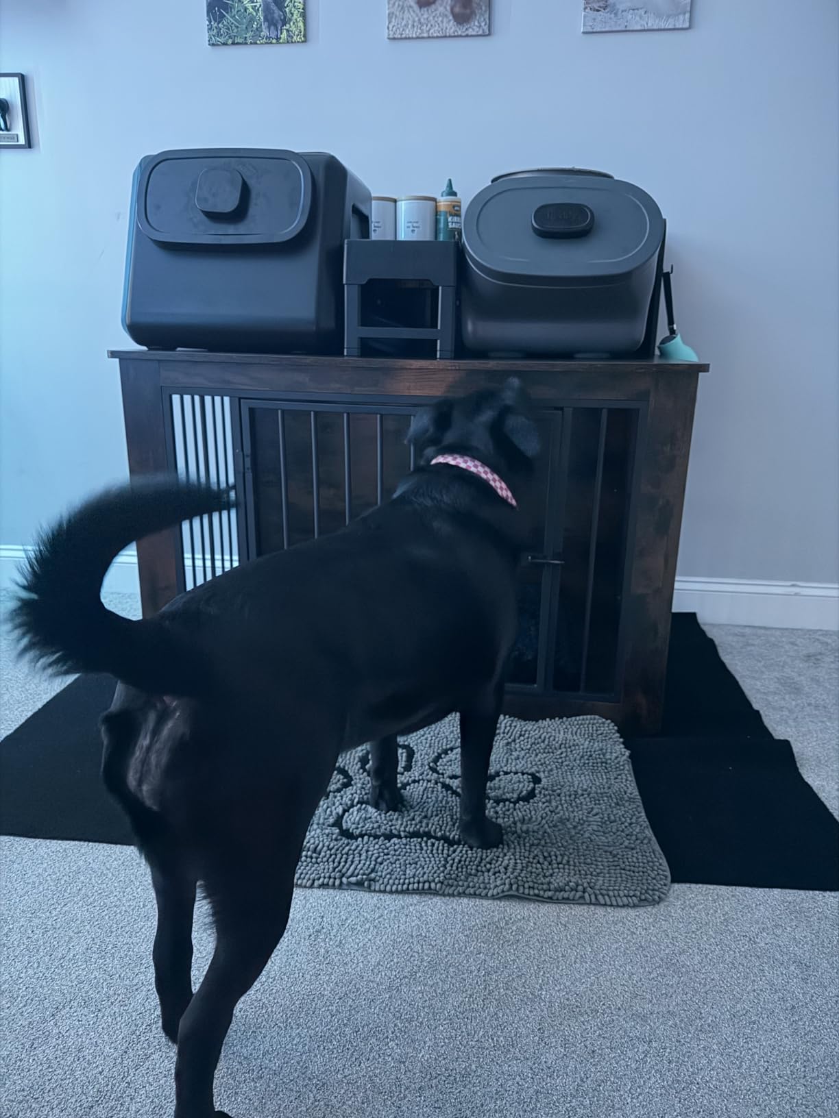IRONCK Extra Large Dog Crate Furniture, 43.3 inches Wooden Dog Crate with Storage and 4 Hooks, Heavy Duty Pet Crate for Large Dog, Decorative Pet Cage for Indoor customer photo 1