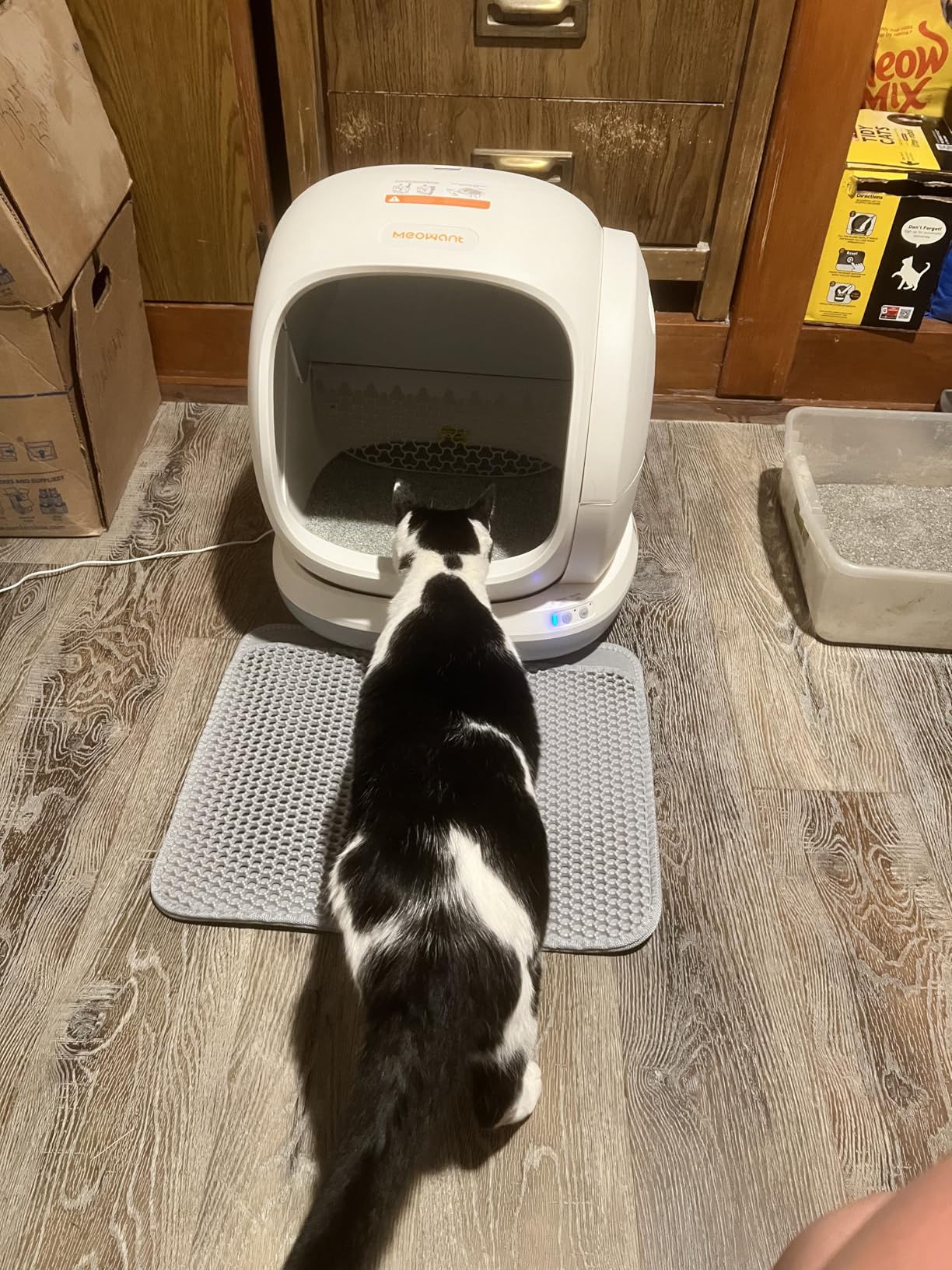 Meowant Automatic Self Cleaning Cat Litter Box with APP Control, Odor Free, Cat-Safe Anti-Stuck Technology, Larger Space & Low Entry for Multiple Cats, Kittens & Senior Pets customer photo 2