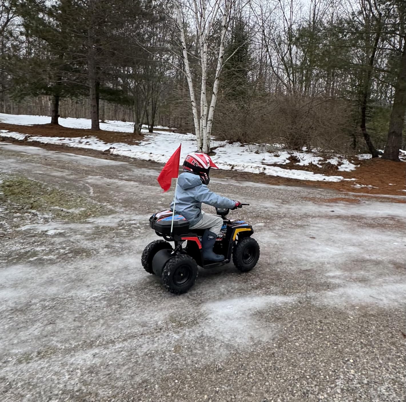 Droyd Animal Kids ATV for Ages 6+, 165 lb Capacity, 36V Electric 4 Wheeler with 500W Brushless Motor, LFP Battery, Dual Speed 10-15 MPH, Dual Suspension Disc Brake Quad Bike with Storage Case customer photo 1