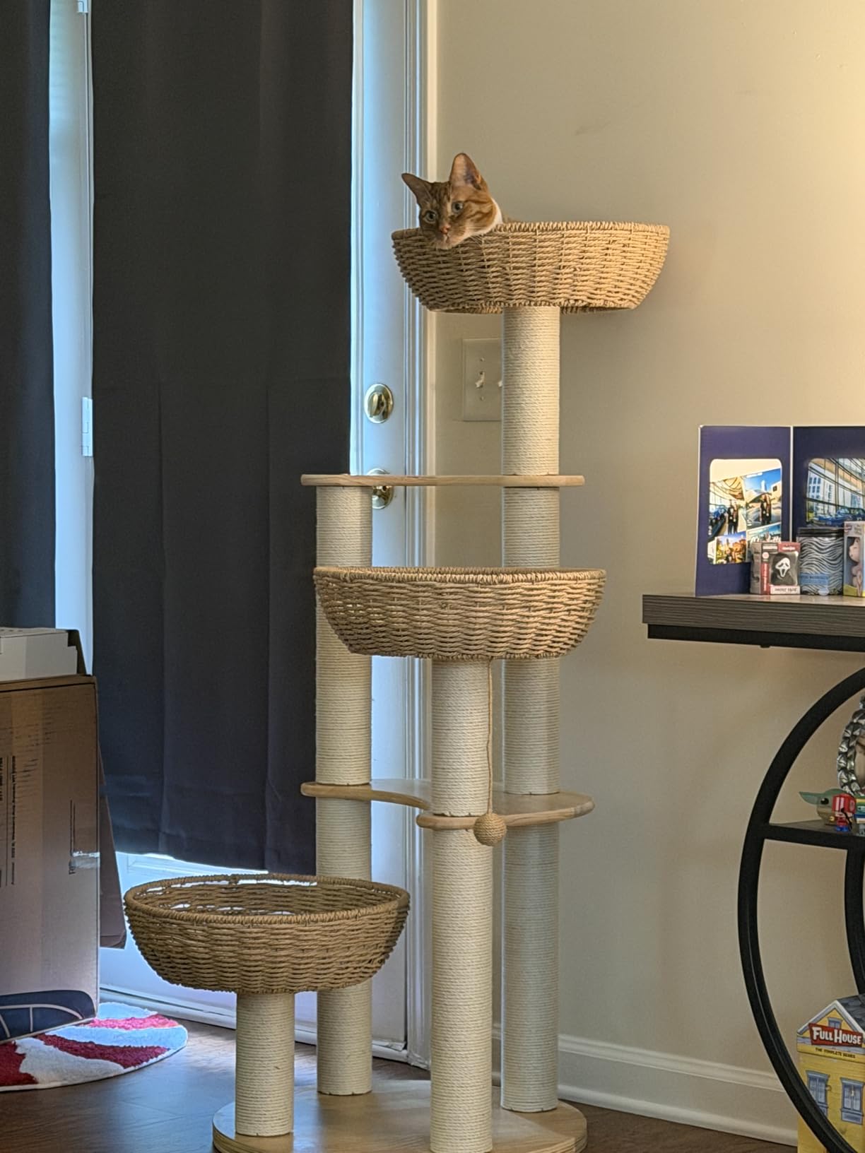 Modern Wood Cat Tree for Large Cats, Luxury Rattan Oak Solid Cat Trees Towers, 3 Weaving Cat Nests & Washable Cushions, Sisal Scratching Posts, Cat Condo for Indoor Cats, Varnish, Easy Clean (Large-O1) customer photo 1
