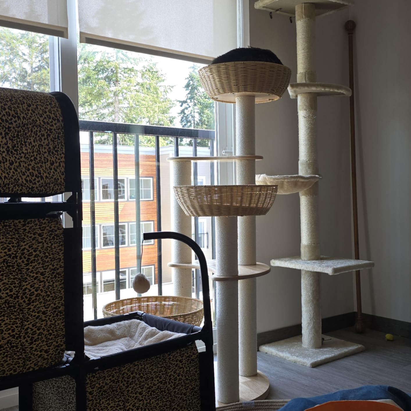 Modern Wood Cat Tree for Large Cats, Luxury Rattan Oak Solid Cat Trees Towers, 3 Weaving Cat Nests & Washable Cushions, Sisal Scratching Posts, Cat Condo for Indoor Cats, Varnish, Easy Clean (Large-O1) customer photo 2