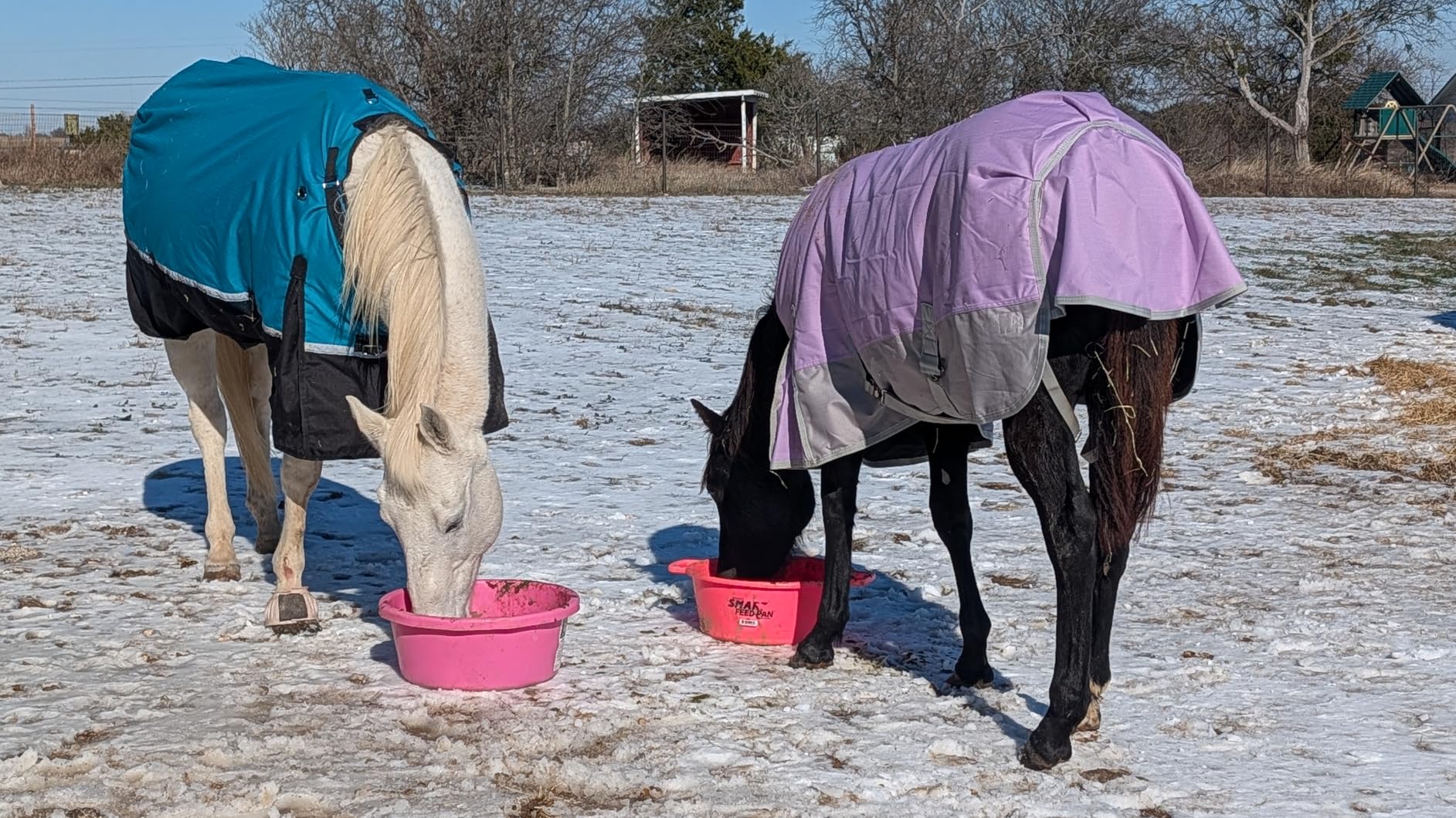 1200D Ripstop Mini Horse/Pony Blanket, Medium Weight 200g Fill - Waterproof Breathable Warm Winter Turnout Blanket for Foal/Weanling/Yearling/Donkey/Mule Violetgrey 48 customer photo 1