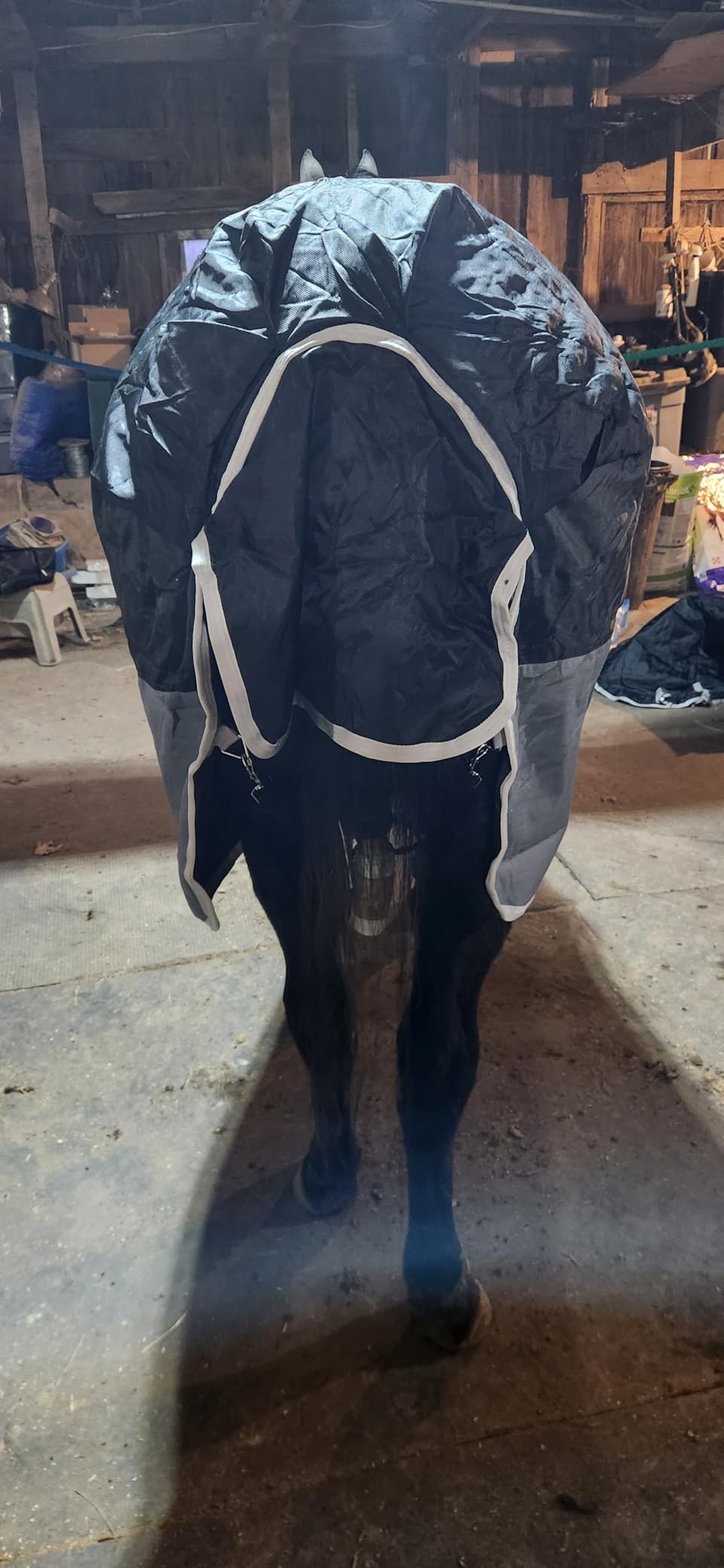 Turnout Horse Blanket with Hood | Medium Weight Winter Horse Blanket | 1200D Waterproof |(Blue/Gray with Band, 78 in) customer photo 1