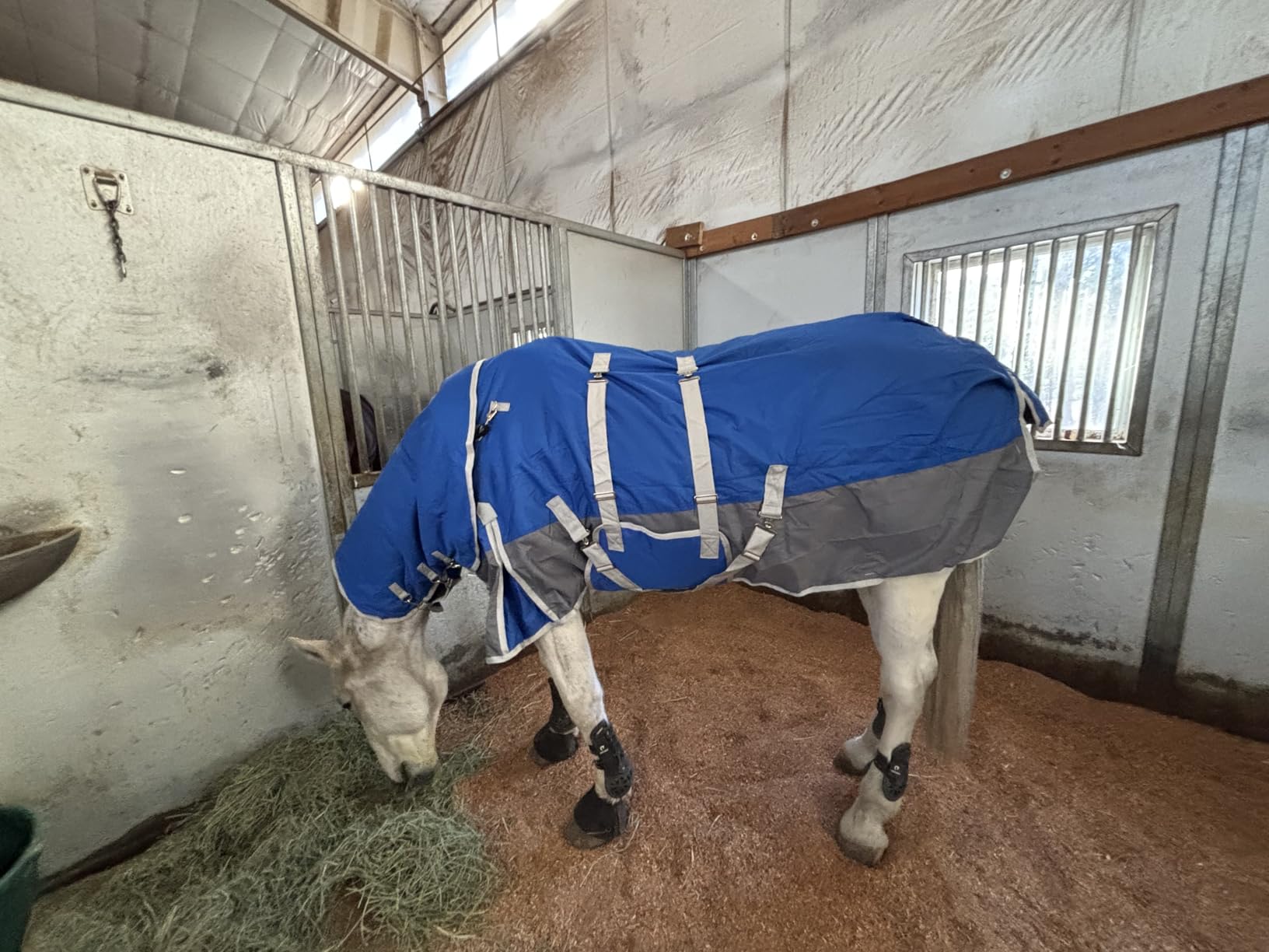 Horse Blankets for Real Horses Winter Horse Turnout Blanket Waterproof 1200D 260g Medium Weight Horse Blanket with Neck Cover Detachable customer photo 1