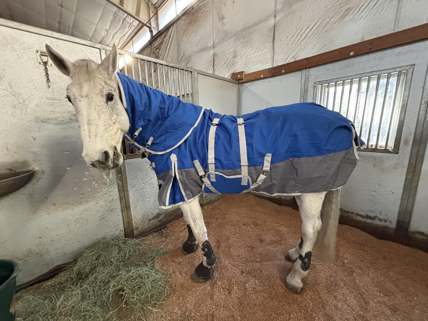 Horse Blankets for Real Horses Winter Horse Turnout Blanket Waterproof 1200D 260g Medium Weight Horse Blanket with Neck Cover Detachable customer photo 2