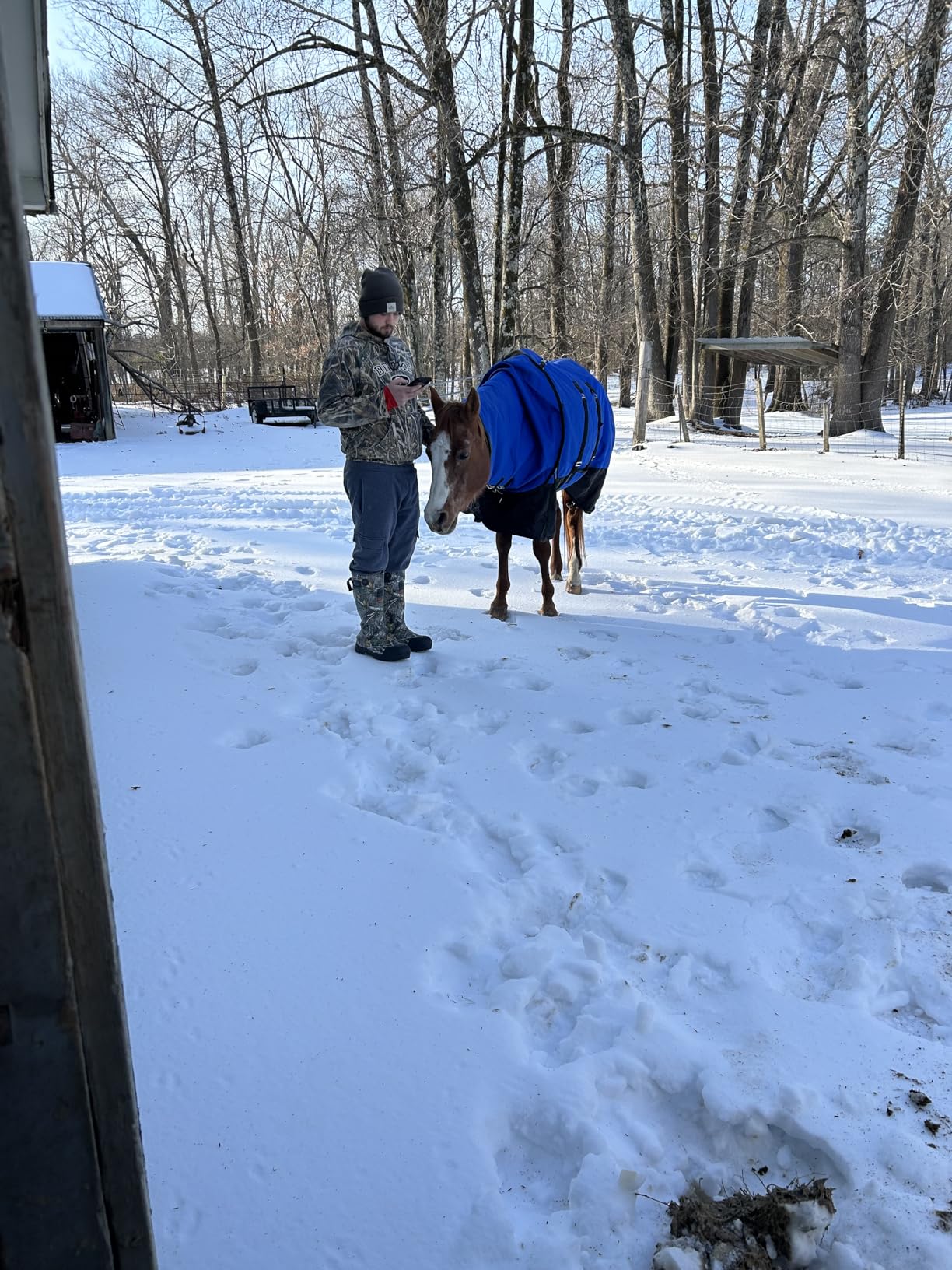 Horse Turnout Blanket, Heavy Weight Horses Blanket with 300g Poly Filling, Neck Cover & Belly Wrap, 1680D Waterproof Winter Blankets for Horses (Blue, US78 in(EU 145 cm)) customer photo 1