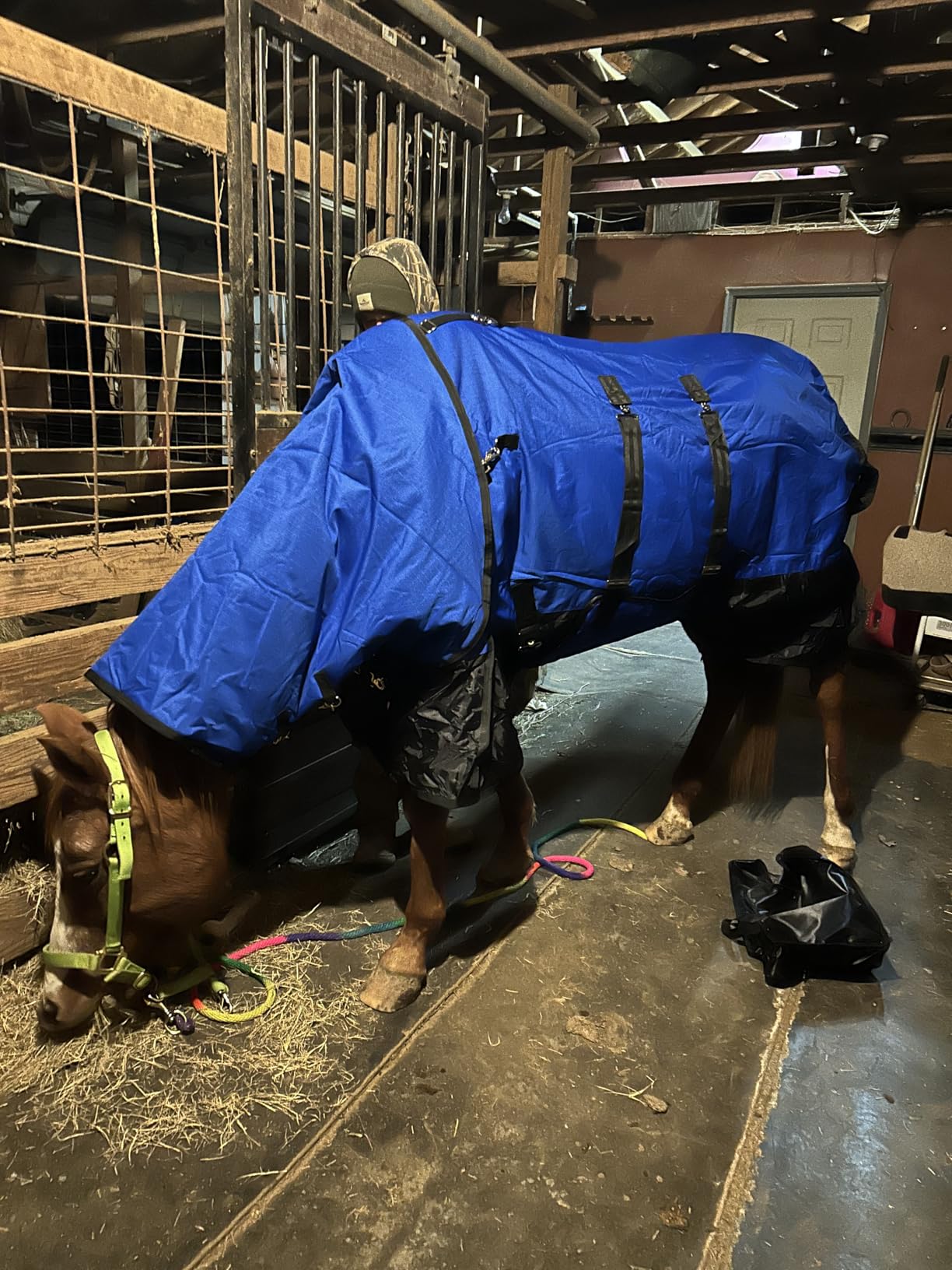 Horse Turnout Blanket, Heavy Weight Horses Blanket with 300g Poly Filling, Neck Cover & Belly Wrap, 1680D Waterproof Winter Blankets for Horses (Blue, US78 in(EU 145 cm)) customer photo 2