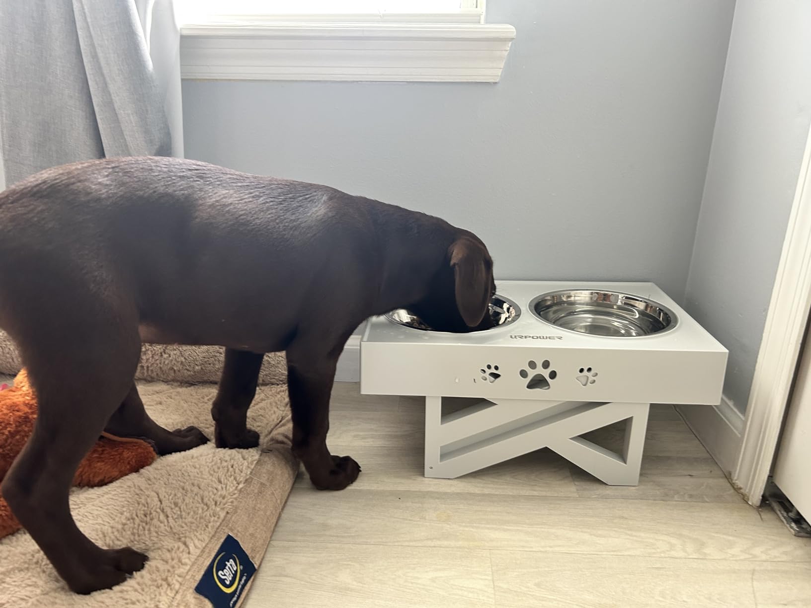 URPOWER Mess Proof Elevated Dog Bowls 4 Height Adjustable Raised Stand with No Spill Water Bowl and Slow Feeder customer photo 1