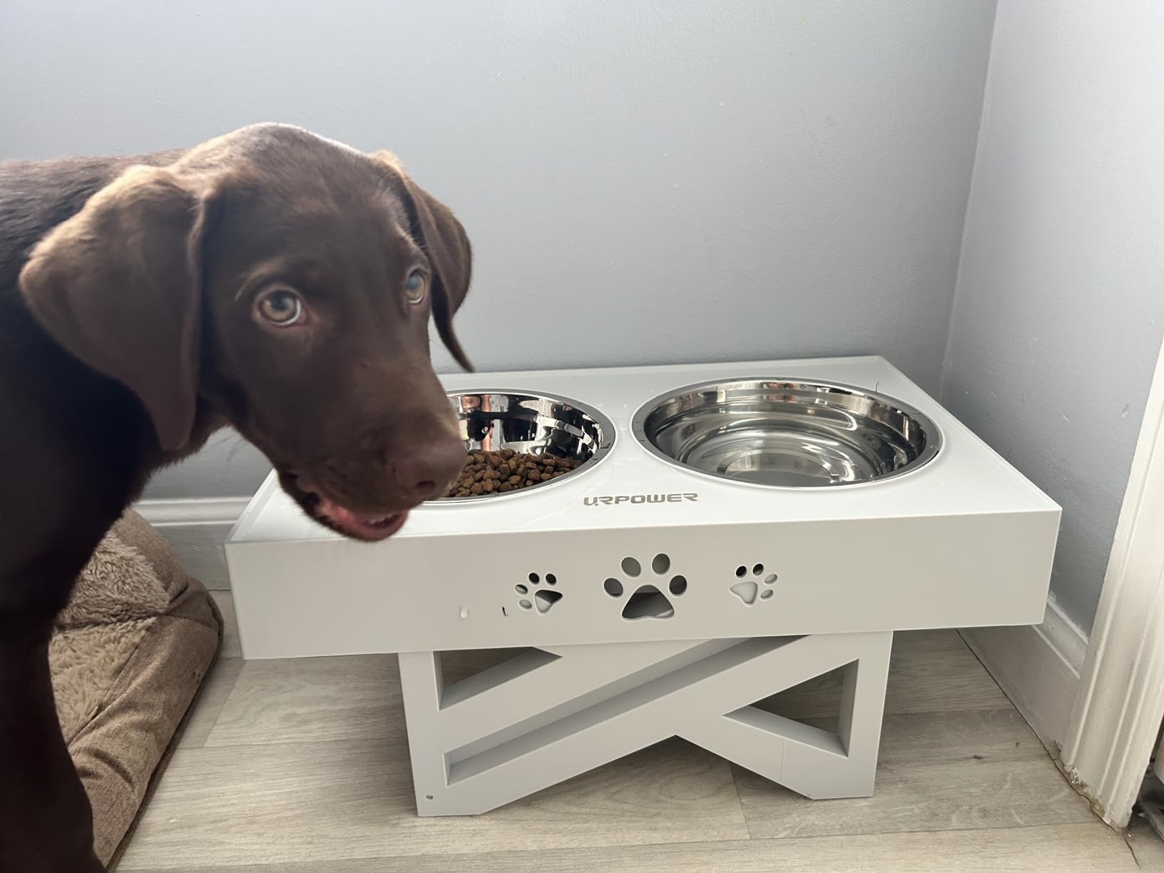 URPOWER Mess Proof Elevated Dog Bowls 4 Height Adjustable Raised Stand with No Spill Water Bowl and Slow Feeder customer photo 2