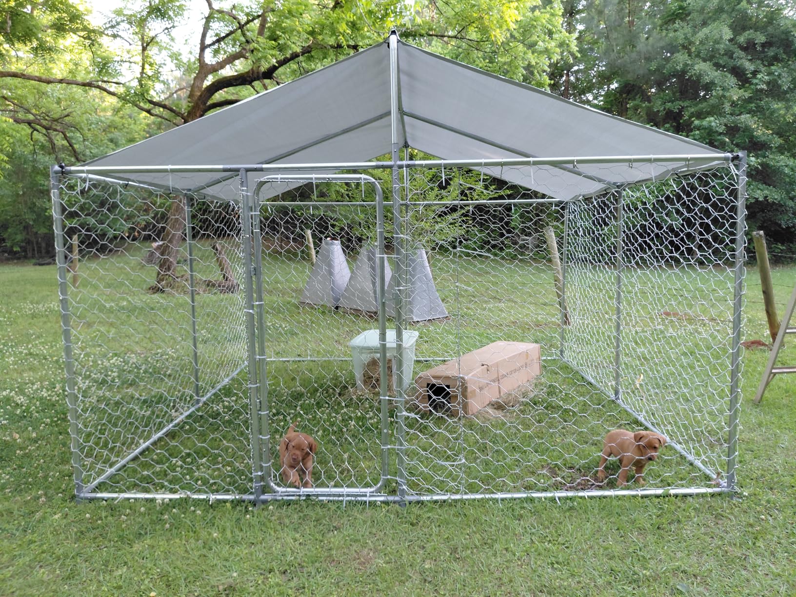 10x10FT Dog Kennel Outdoor Outside, Heavy Duty Metal Dog Enclosure with Waterproof Oxford Roof & Security Lock,Panels for Large Dogs & Small Animals, Backyard Pet Playpen customer photo 1