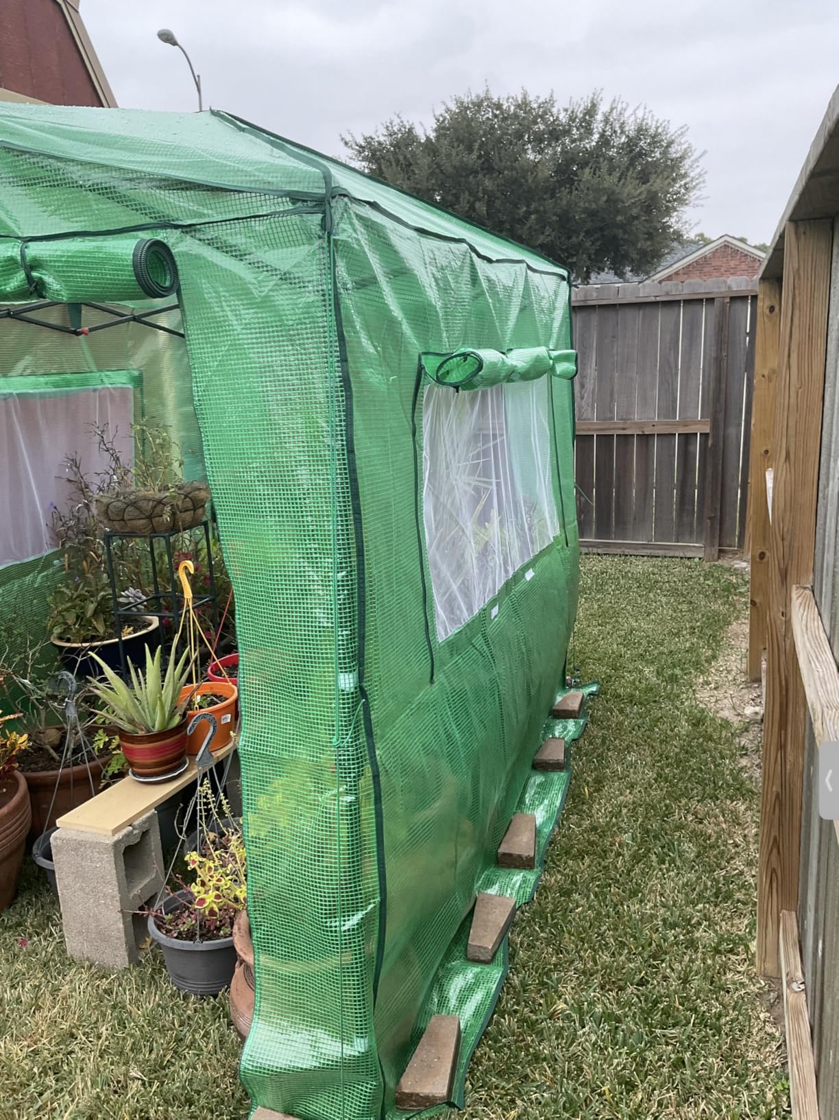 EAGLE PEAK 6x6 Portable Pop Up Greenhouse, Patented Center Lock Easy One Person Setup, Walk-in Outdoor Greenhouse with Gable Roof, Weight Bags, Zippered Doors & Windows, White customer photo 2