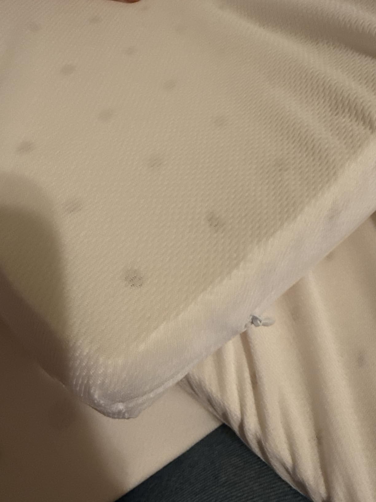 Premium Natural Latex Mattress Topper, Organic Cotton Cover No Memory Foam Chemicals, Help Relief Shoulder & Back Pain (Queen 3Inches) customer photo 2