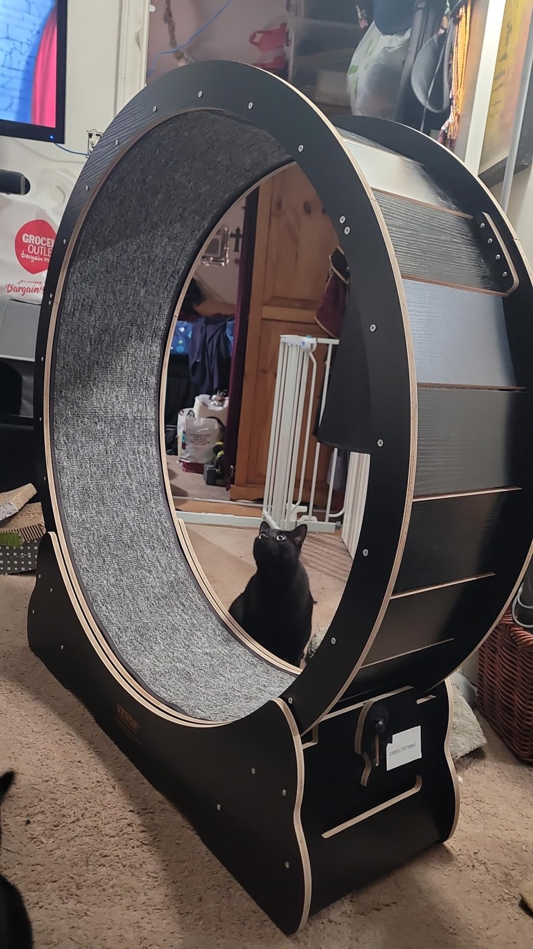 VEVOR Cat Exercise Wheel, 48 in Wooden Cat Running Wheel for Indoor Cats up to 28 lbs customer photo 1