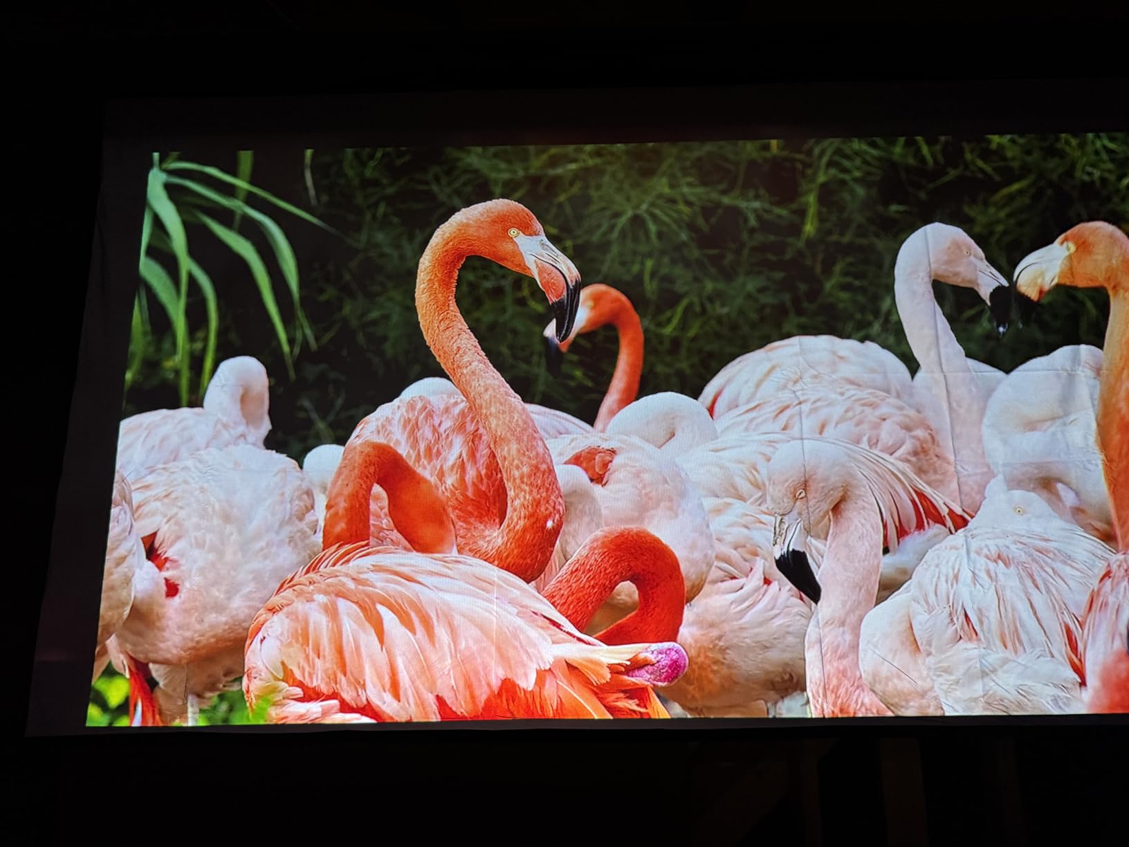 ALR Projector Screen for Standard Throw - Wall Mounted - High Contrast 70% ALR High Brightness 2.7X Gain - 84 inch 16:9 Gray Screen - by SilverMagic customer photo 1