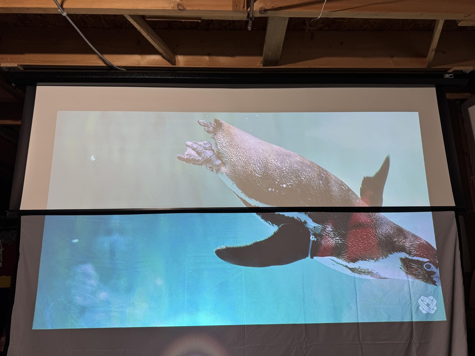 ALR Projector Screen for Standard Throw - Wall Mounted - High Contrast 70% ALR High Brightness 2.7X Gain - 84 inch 16:9 Gray Screen - by SilverMagic customer photo 2