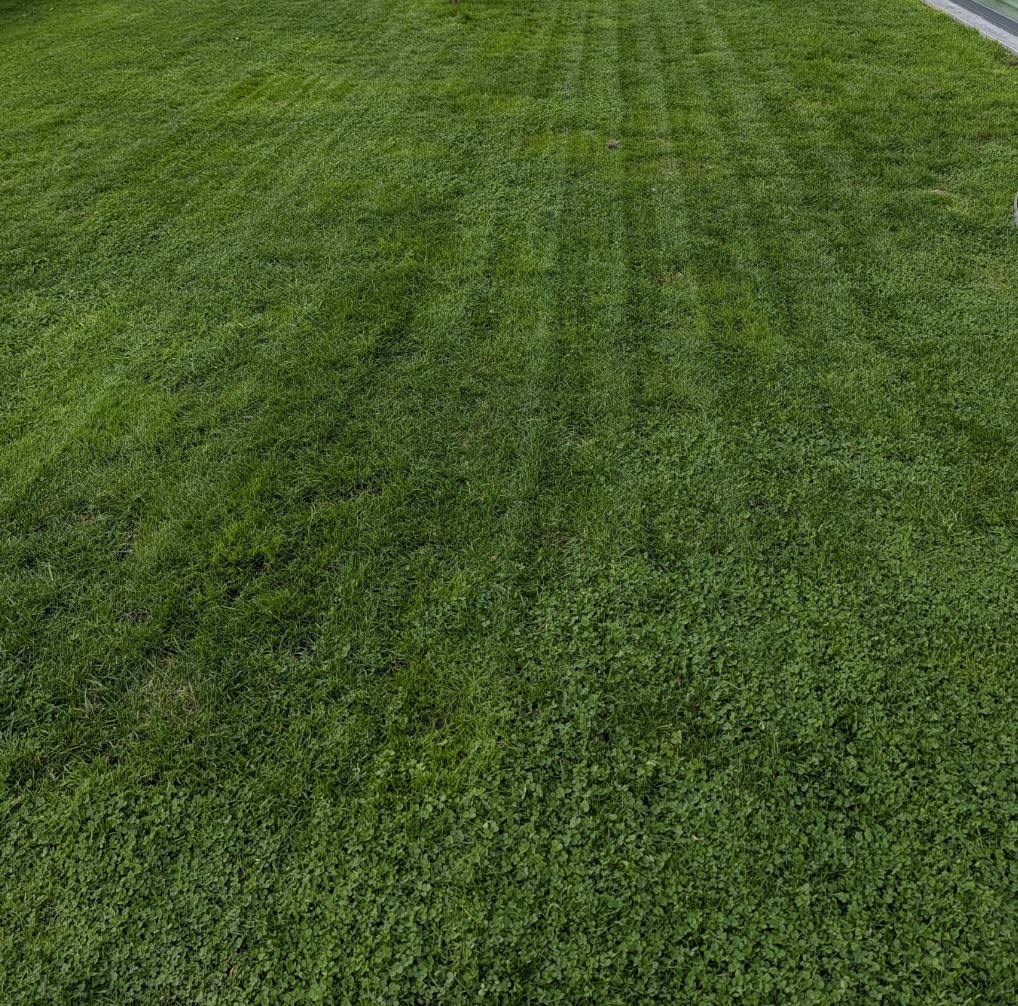 MOVA LiDAX Ultra 3000 AWD Robot Lawn Mower Wire Free RTK Free for up to 0.75 Acre, Dual Maps, 360 3D LiDAR and AI Dual Vision Mapping, Robotic Mower with 4G, for 80% Slopes, Cutting Height 1.2-3.9 Inches customer photo 2