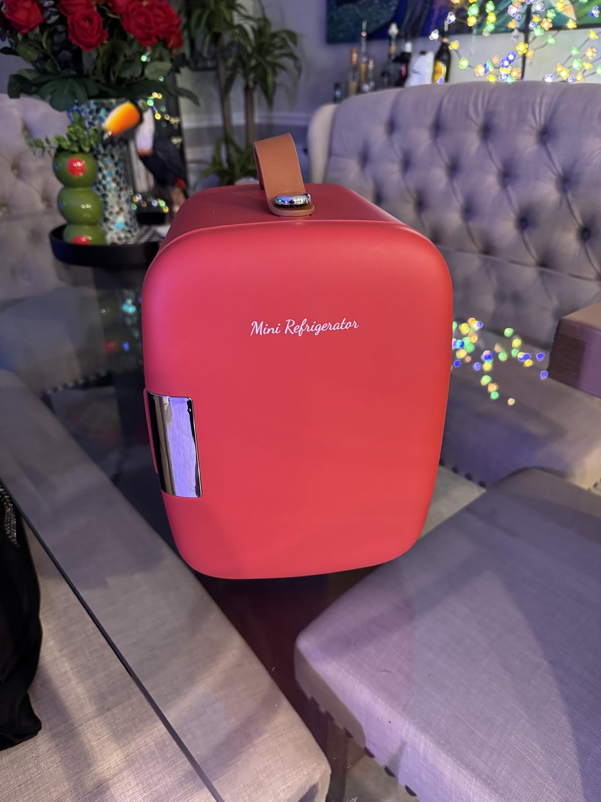 NEWBULIG Mini Fridge for Bedroom, Office & Car, Portable 4L/4.23QT Mini Refrigerator for Skincare with Handle, Ultra-Quiet Energy-Saving Compact Cooler for Drinks, Food, Skincare & Makeup, 12V AC/DC customer photo 2