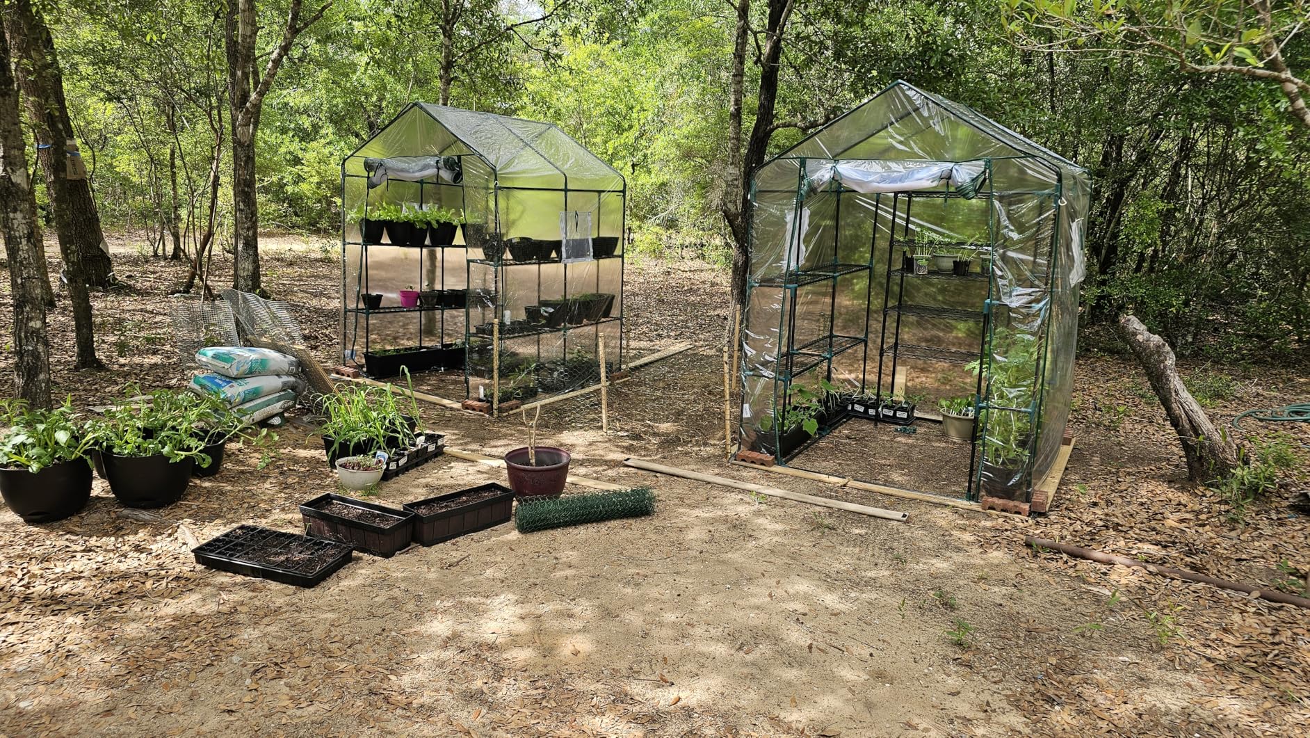 Quictent Essential Walk-in Greenhouse for Outdoors, 56x29x77 inch Portable 3-Tier 4-Shelf Garden Hot House Kit with Plastic Cover customer photo 1