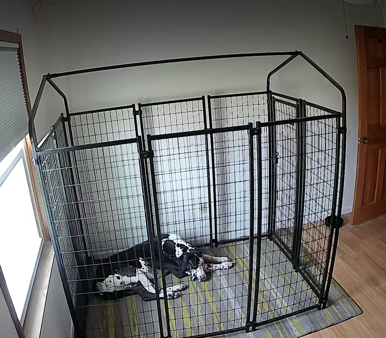 PawHut Outdoor Dog Kennel with Roof, 8' x 8' x 6' Heavy Duty Welded Wire Dog Playpen Enclosure with Escape-Proof Lock, UV-Resistant & Waterproof Cover, for Large Dogs, Chickens, Ducks, Silver customer photo 2