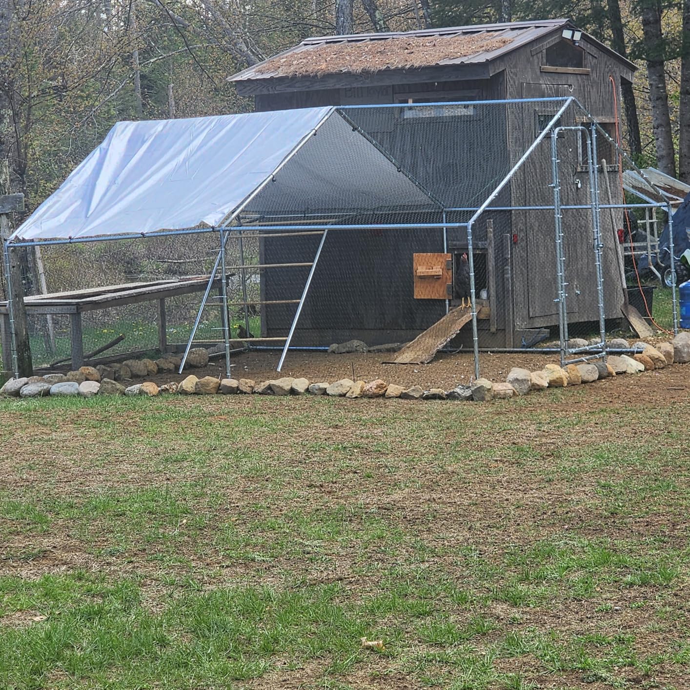 Large Metal Chicken Coop with Roosting Perch, Waterproof and UV-Resistant Cover, Outdoor Walk-in Cage Hen House for Yard Farm Rabbit Duck Chicken Run, Spire Roof (10' W x 13.2' L x 6.4' H) customer photo 1