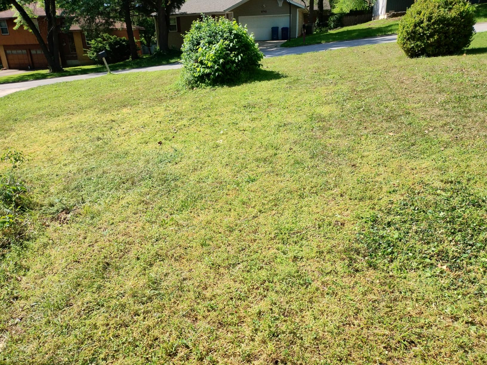 LawnMaster 20
