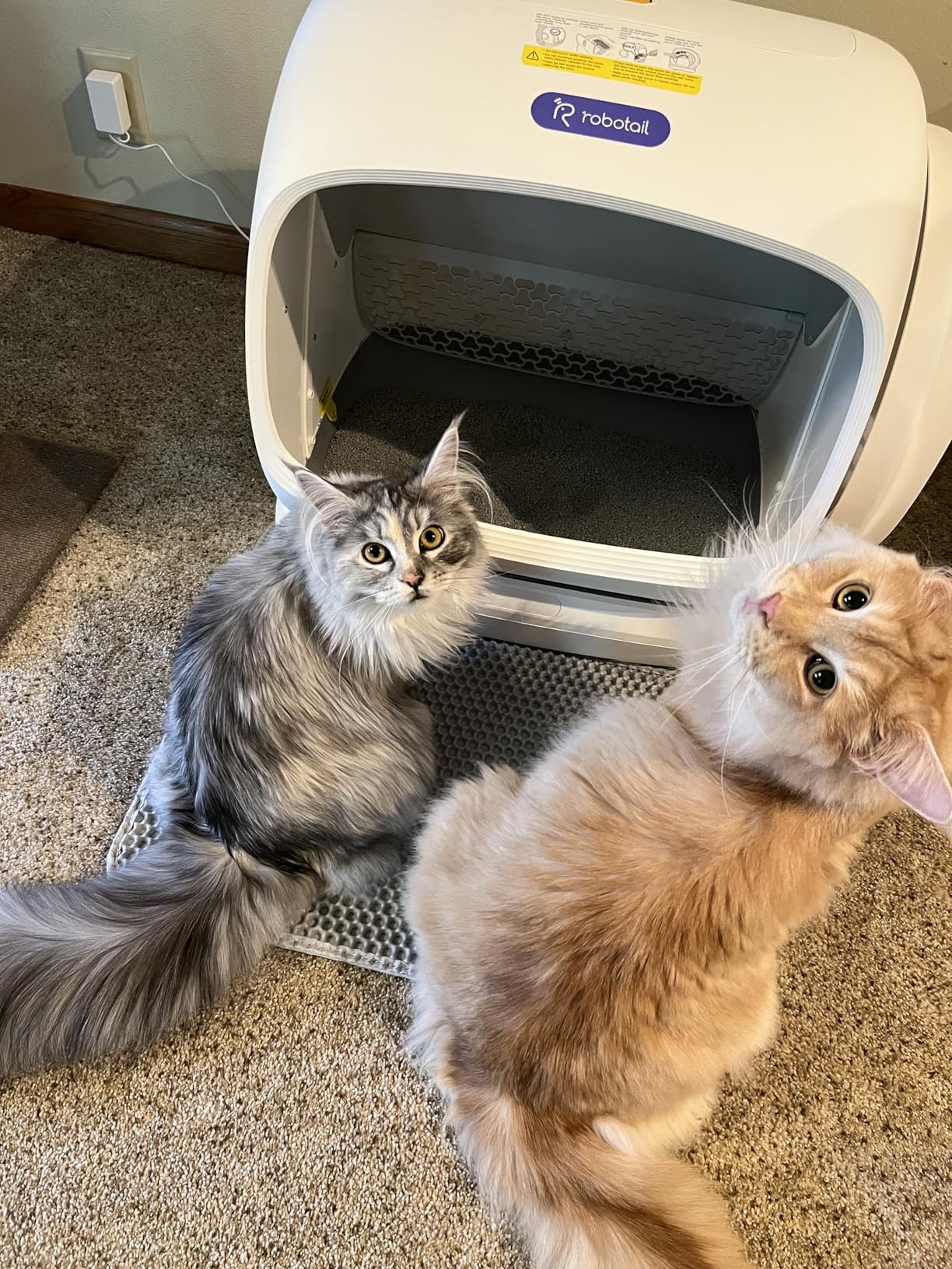 Robotail Self-Cleaning Cat Litter Box, 106L XXXL Extra-Large Space Automatic Cat Litter Box for Large Cats, Open Top Automatic Cat Box Self Cleaning with APP, Safety Sensor, Anti-Pinch Patent customer photo 1
