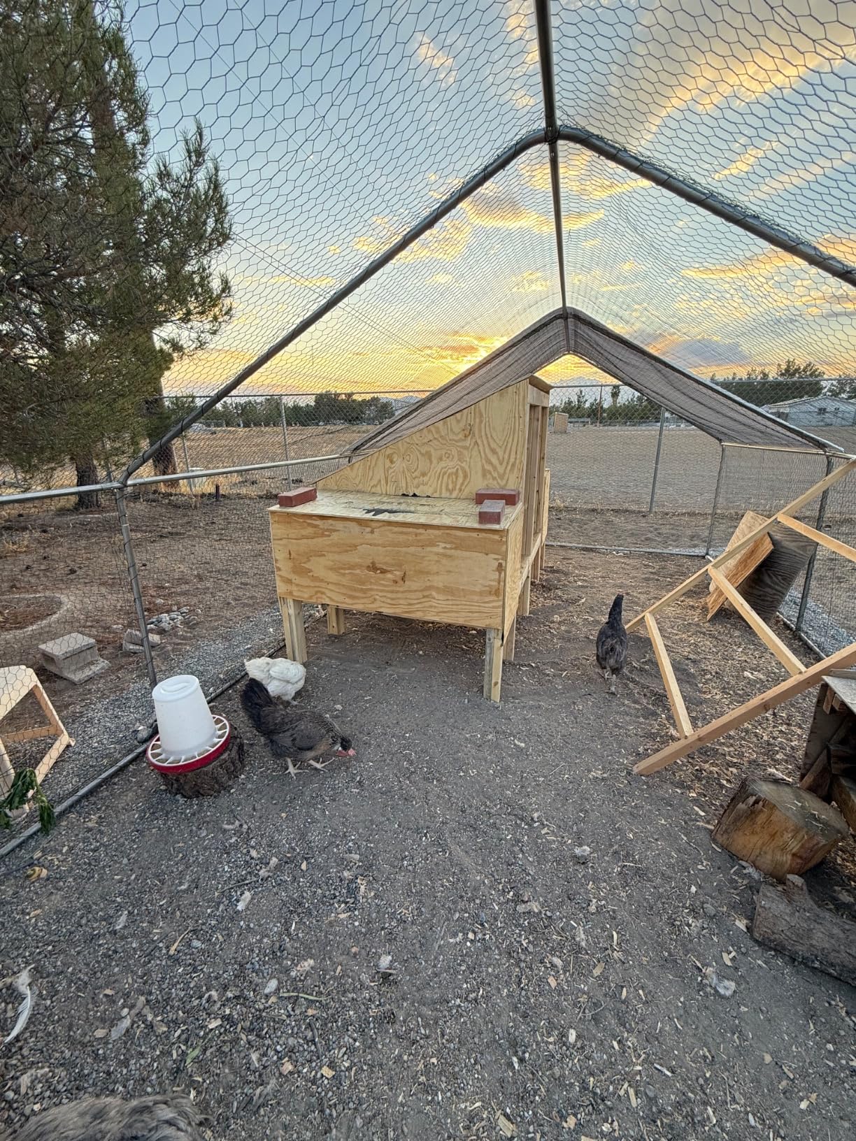 Heavy Duty Metal Chicken Coop with Hardware Cloth, Walk-in Poultry Cage with Solar Light, Waterproof Anti-UV Cover, Large Outdoor Chicken Run for Hen Duck Rabbit customer photo 1