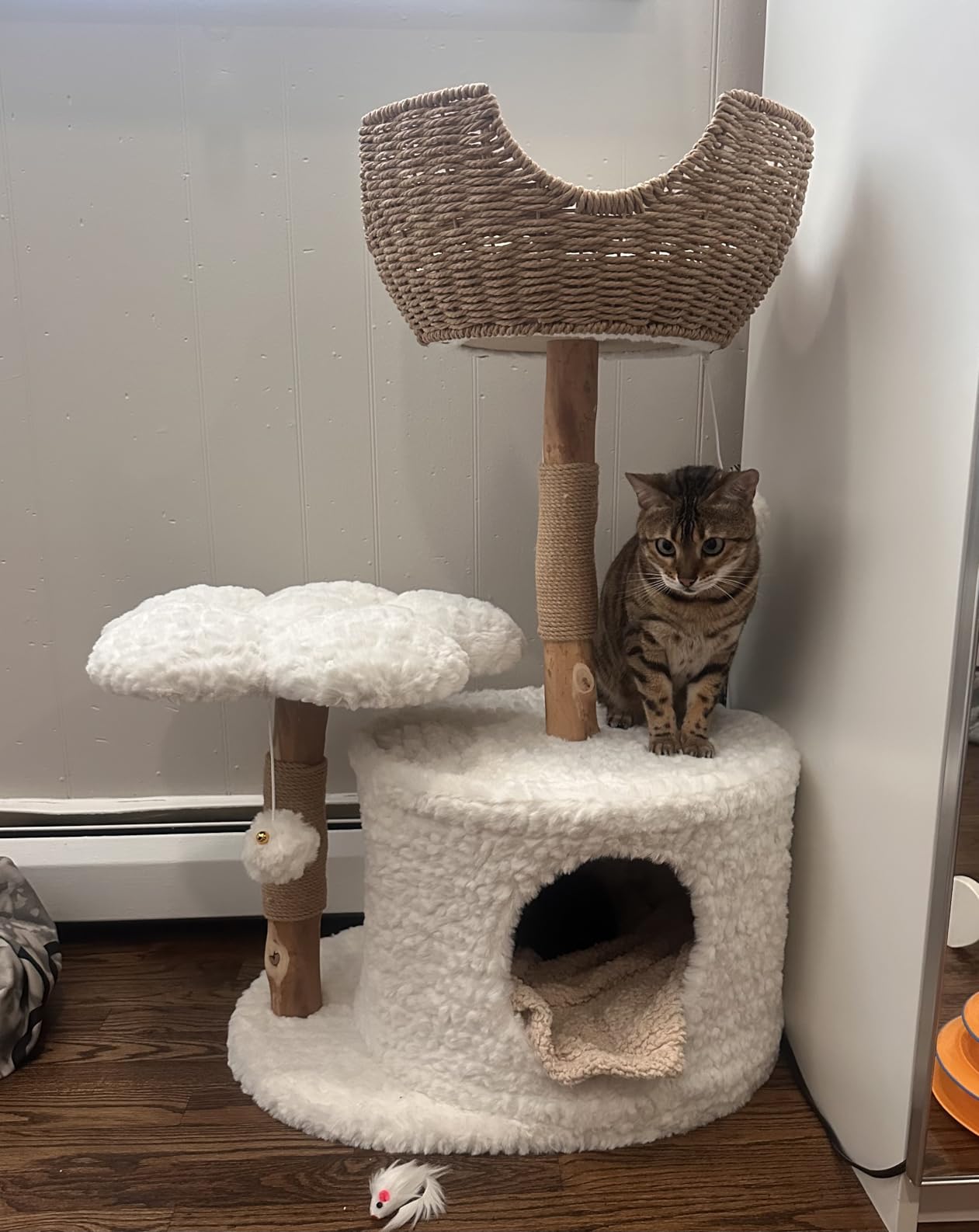 Easyego Modern Cat Tree, 26.3