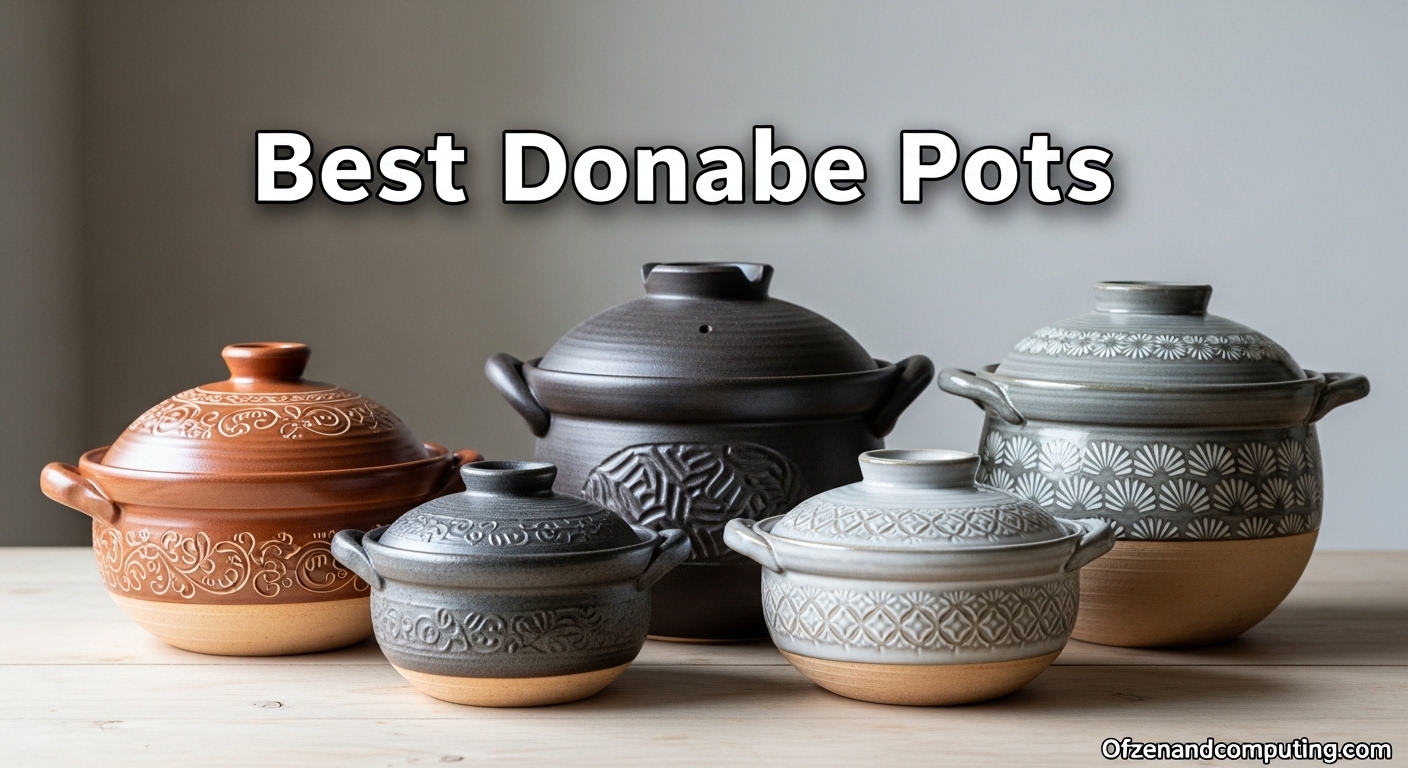 Best Donabe Pots
