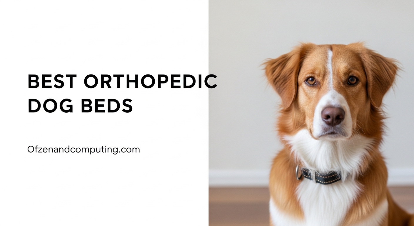 Best Orthopedic Dog Beds