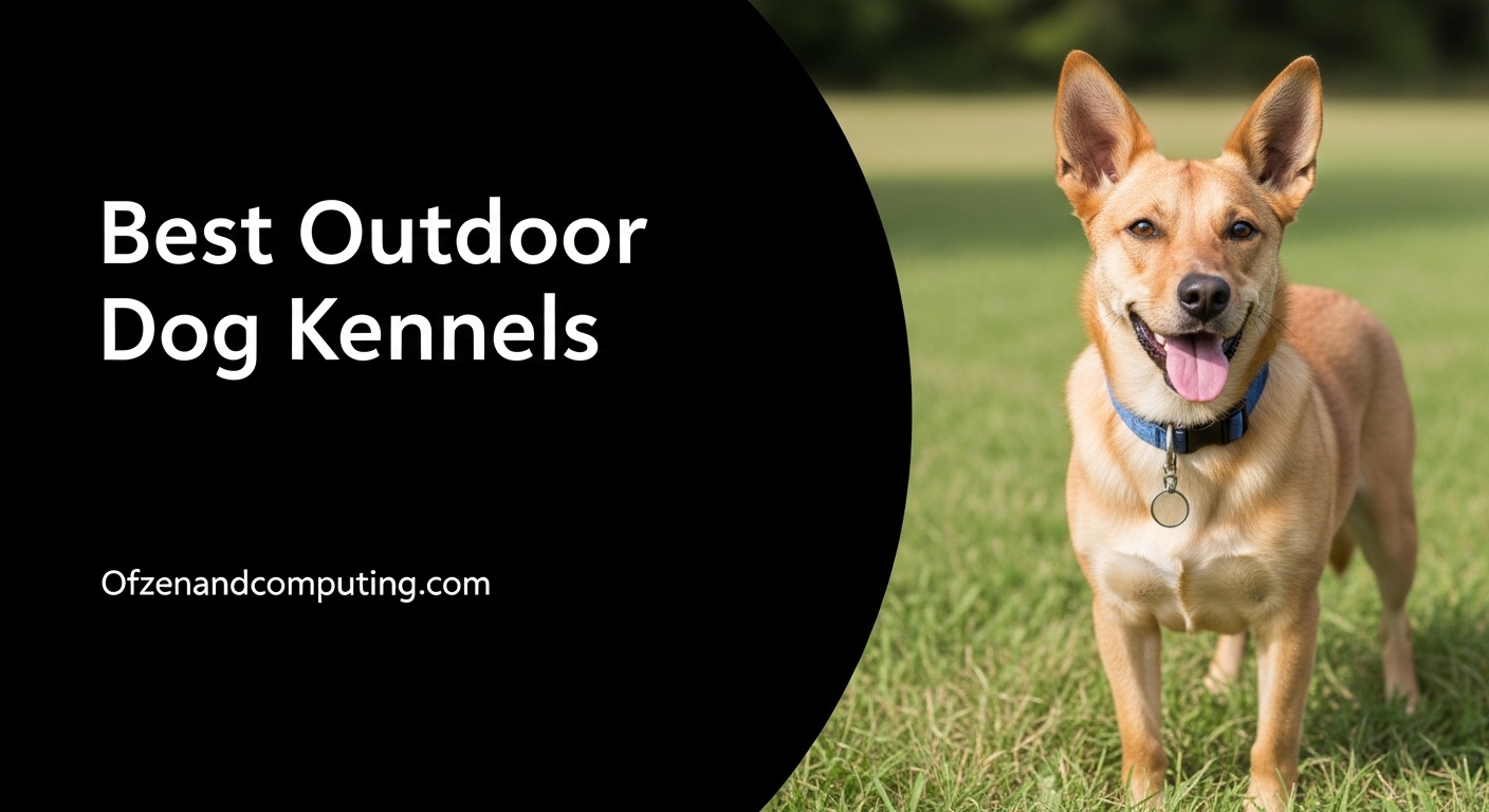 Best Outdoor Dog Kennels