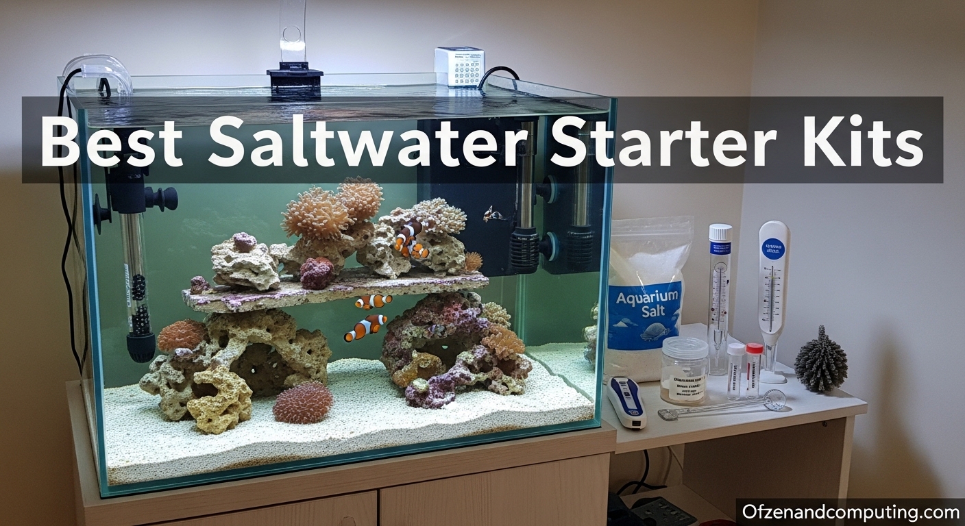 Best Saltwater Starter Kits