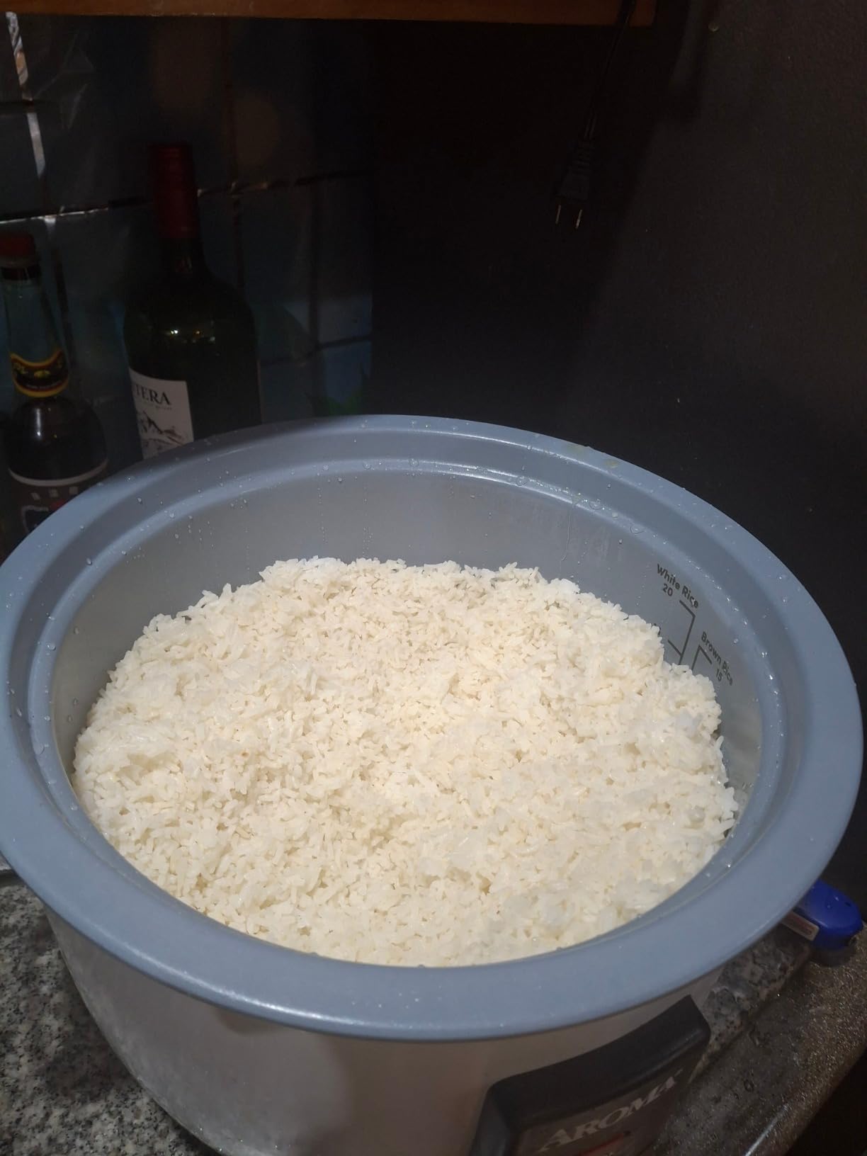Aroma Housewares 60-Cup (Cooked) (30-Cup UNCOOKED) Commercial Rice Cooker (ARC-1033E), White customer photo 2